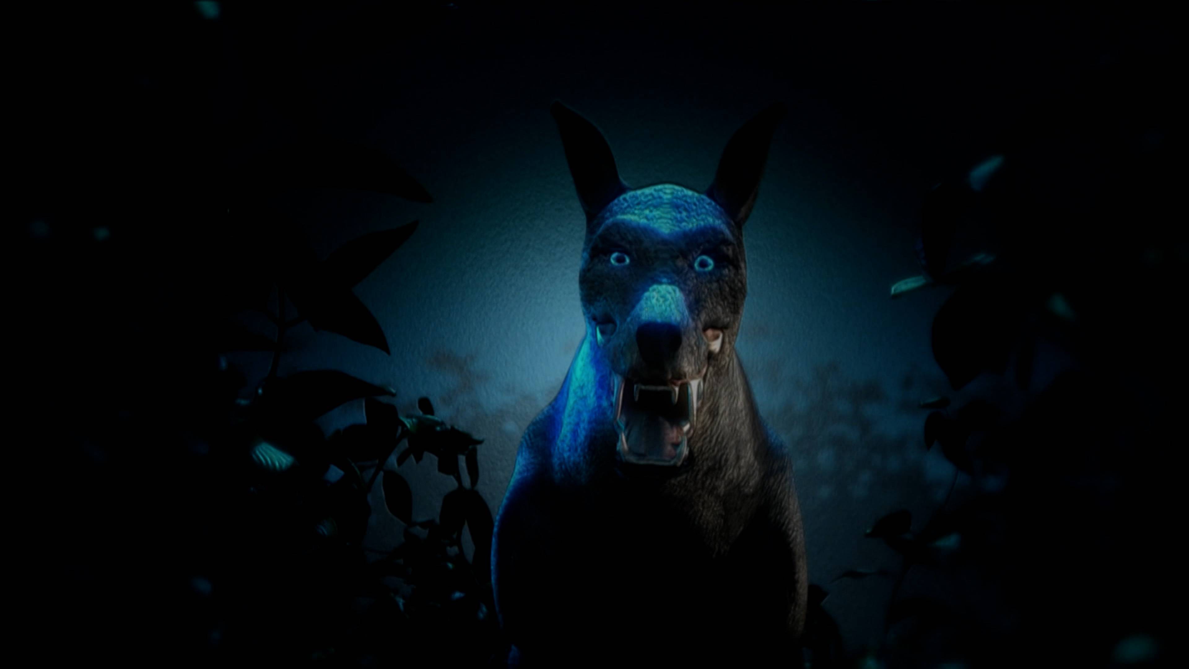 لغز التشوباكابرا