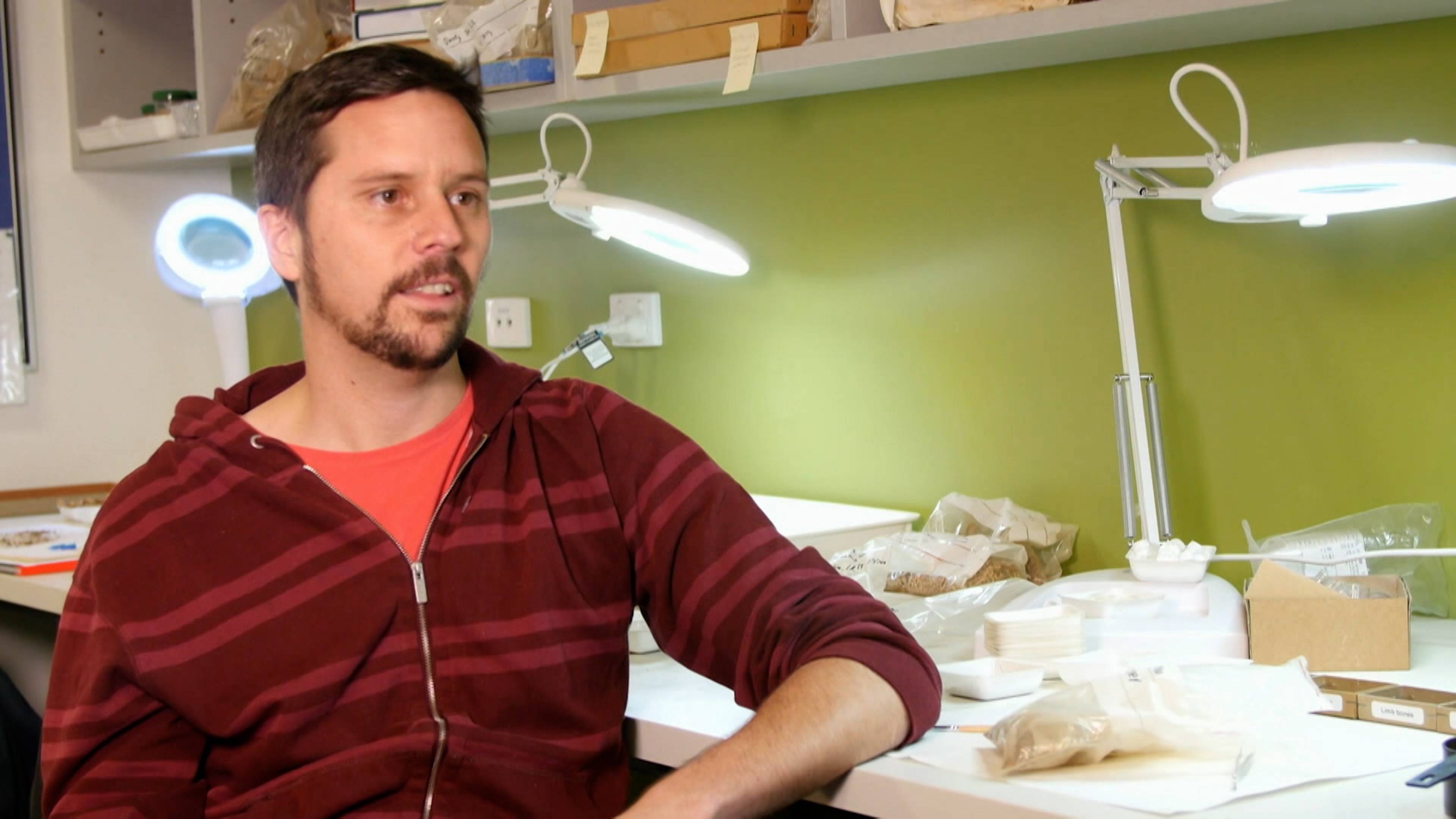 البحث عن التنانين الحقيقية