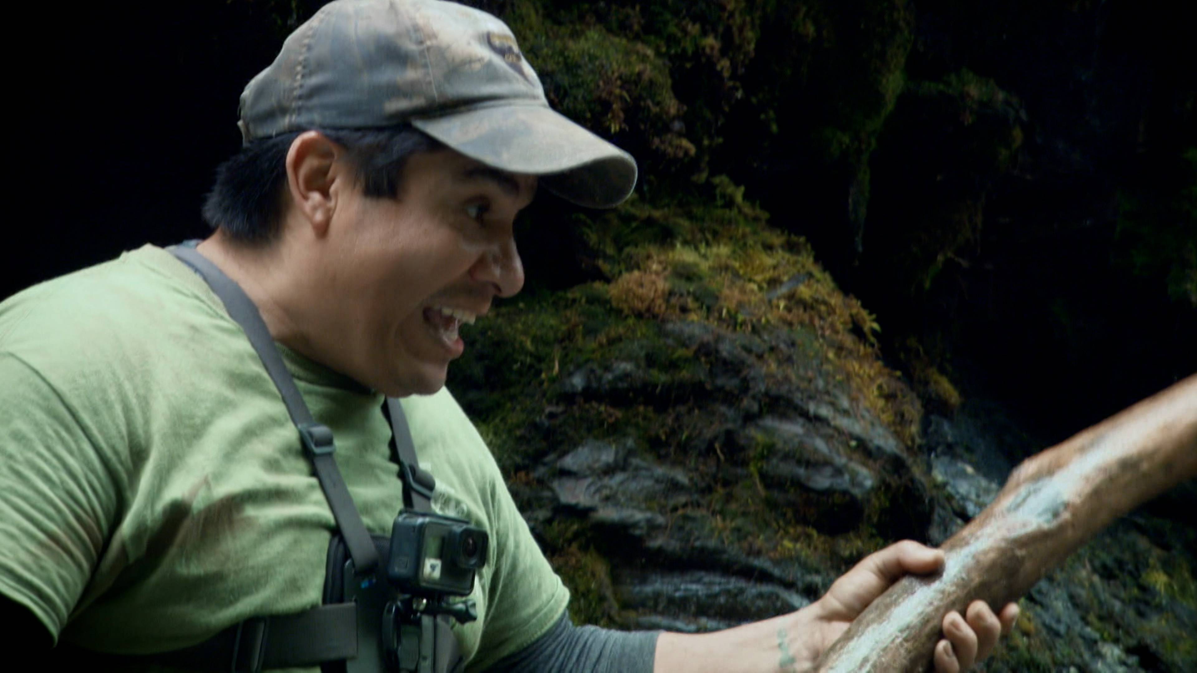 أخطاء المبتدئين