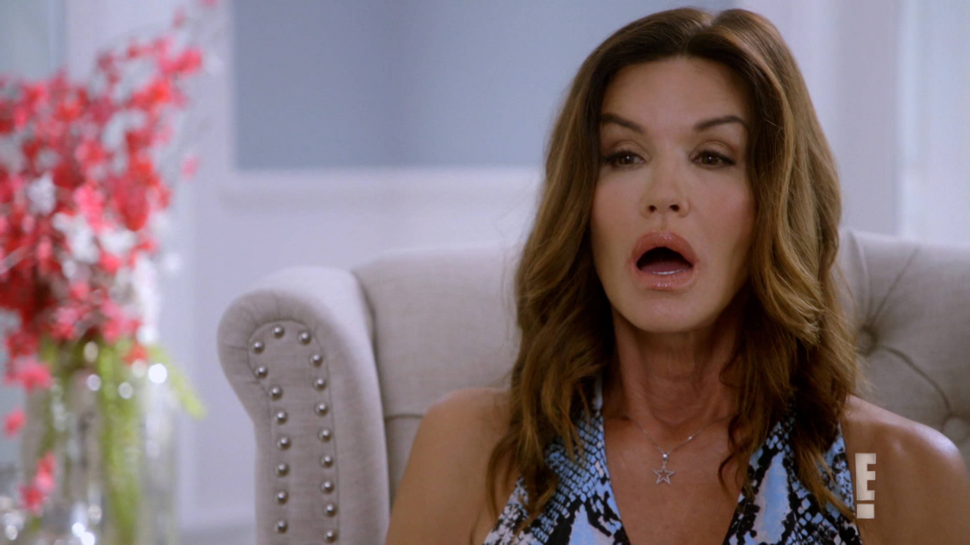 Janice Dickinson, Joanna Krupa, Marlee Matlin