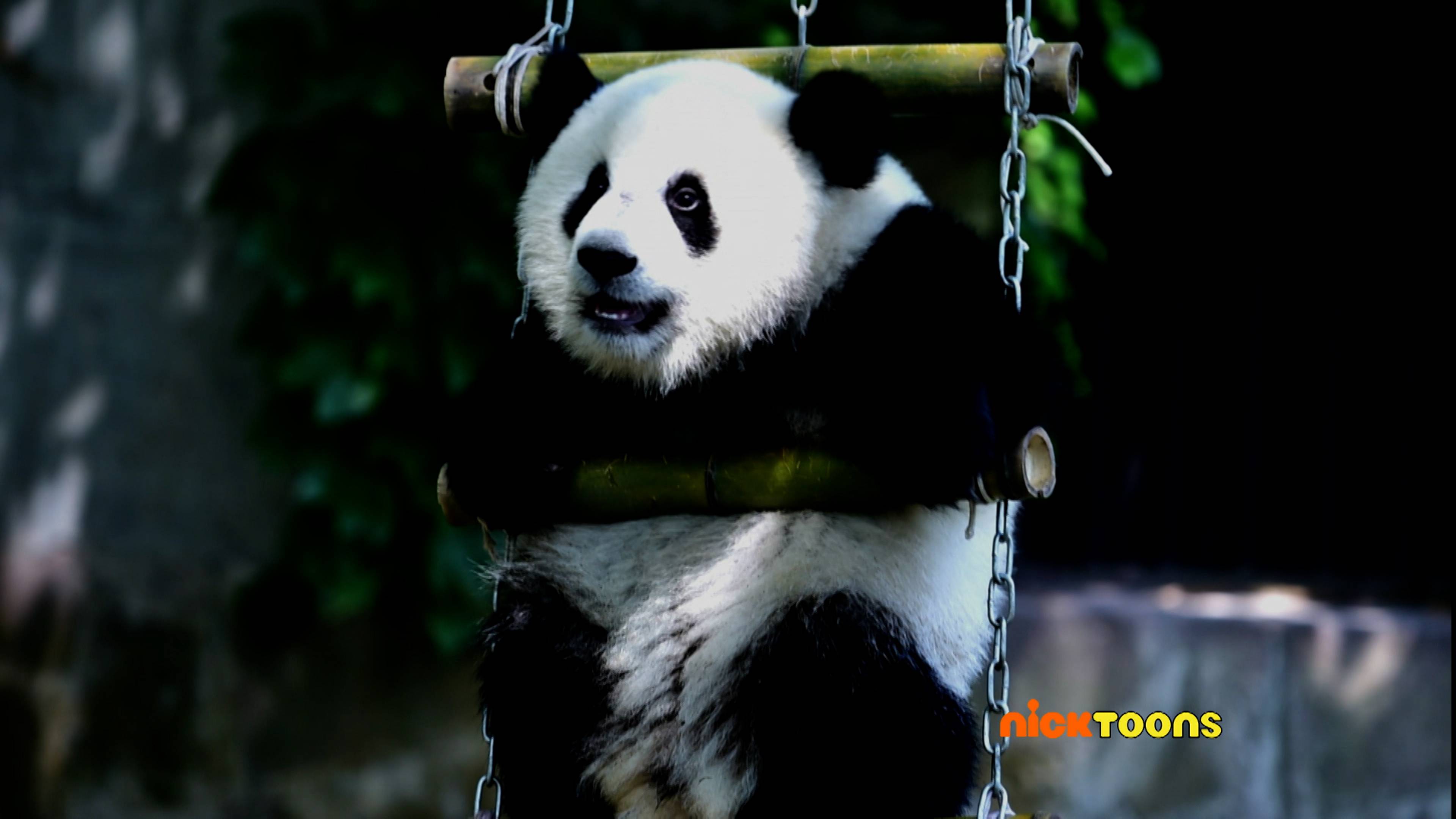 Bunny Bonanza/Panda-Monium