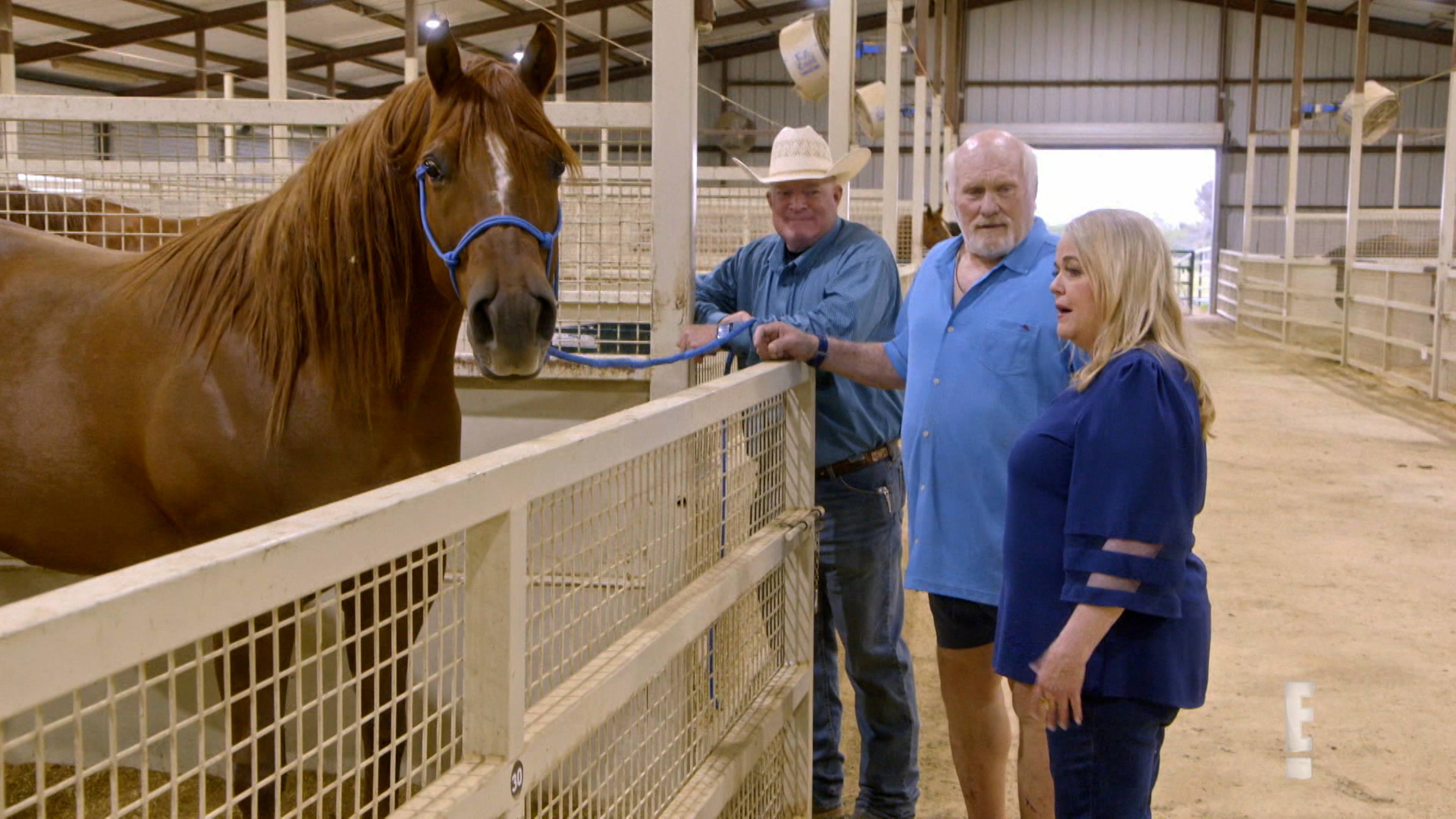 Speak From The Heart