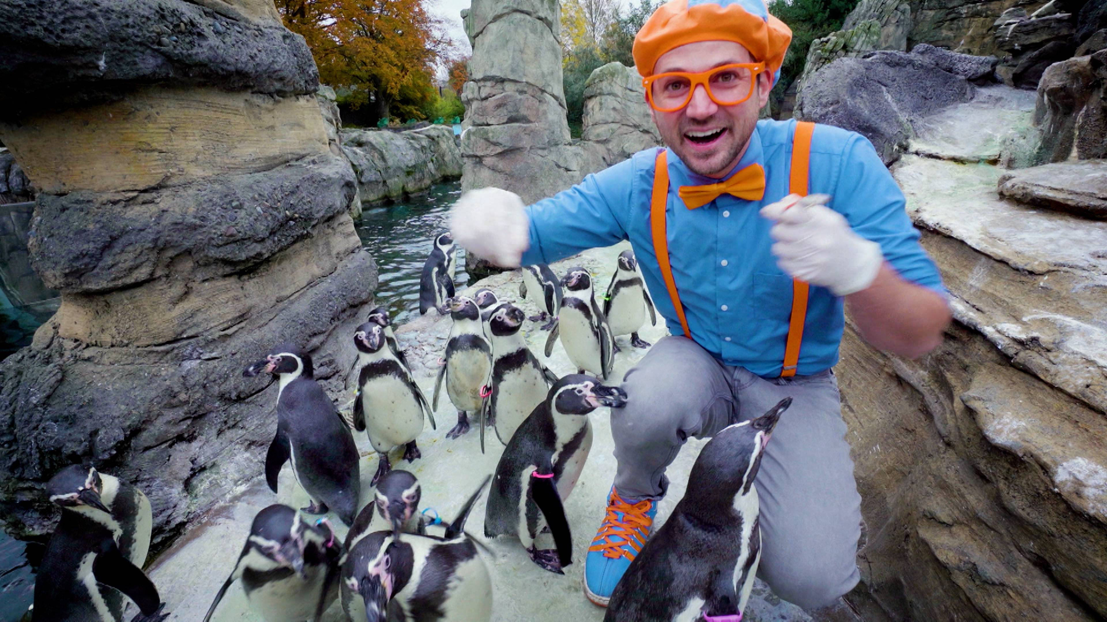 Blippi Learns About Penguins At The Zoo (Virgin)