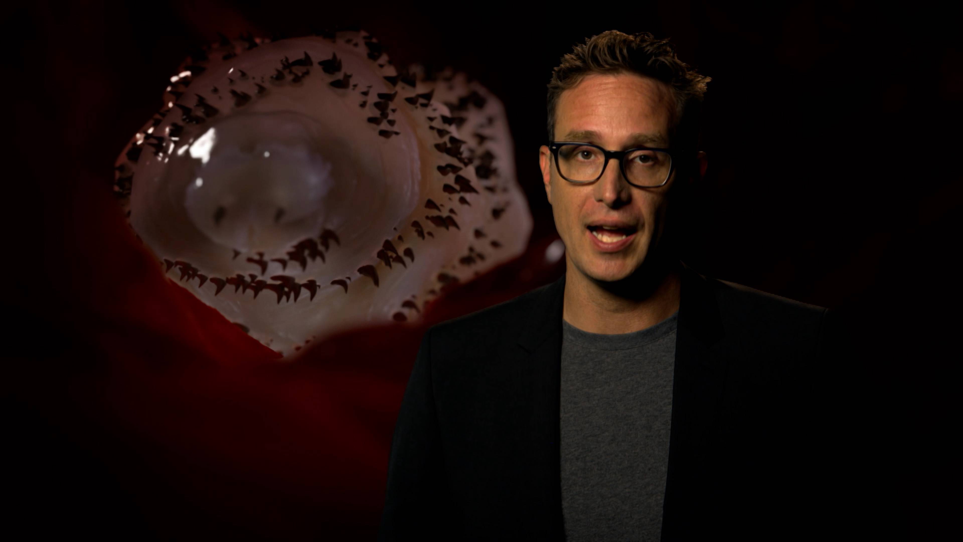 There's A Maggot In My Head