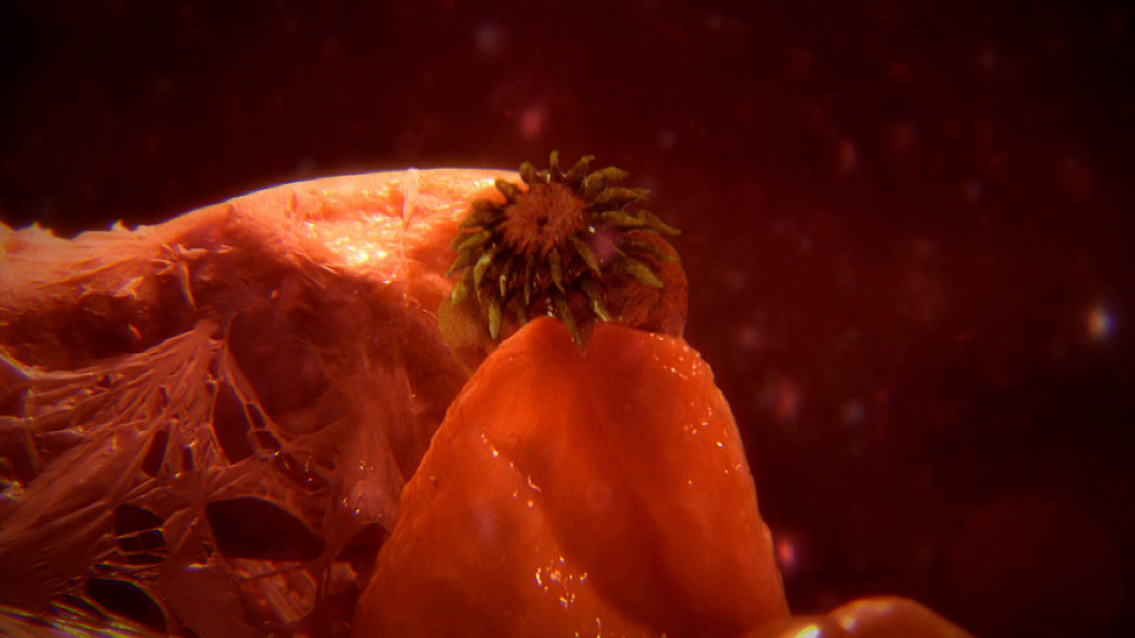 All I Got For Christmas