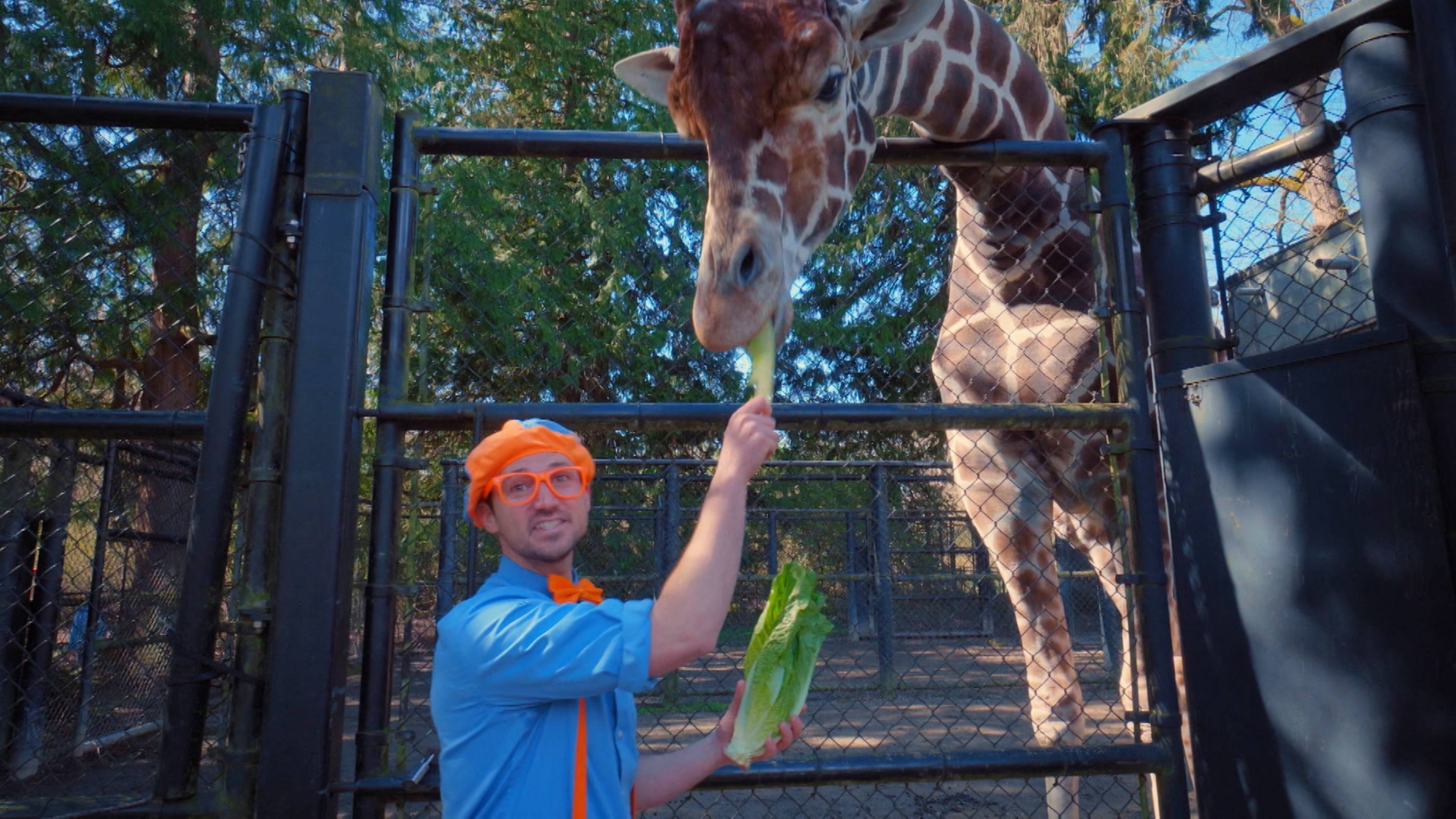 Blippi At The Zoo - Feeding The Animals