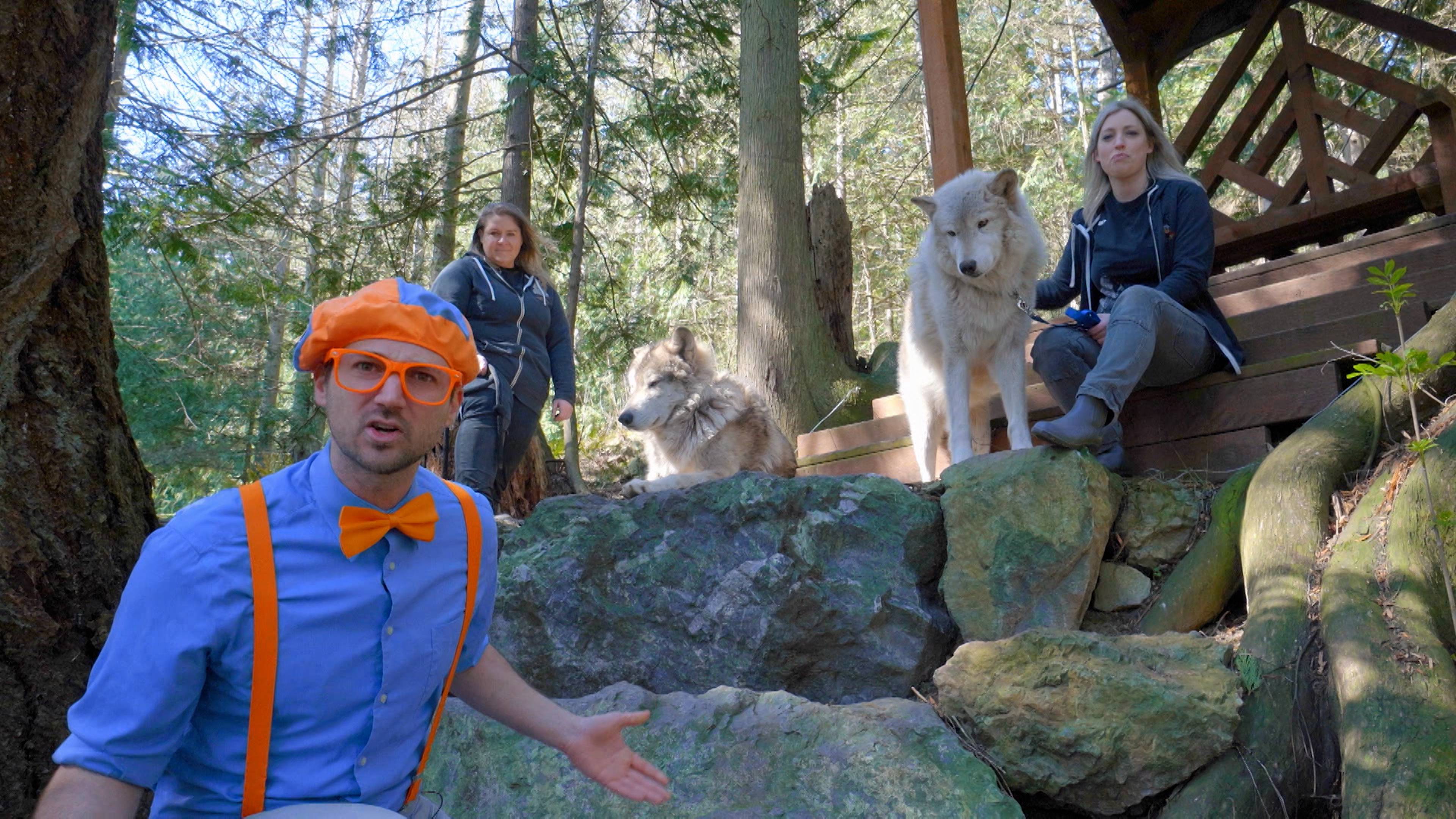 Blippi Visits Wildlife Park