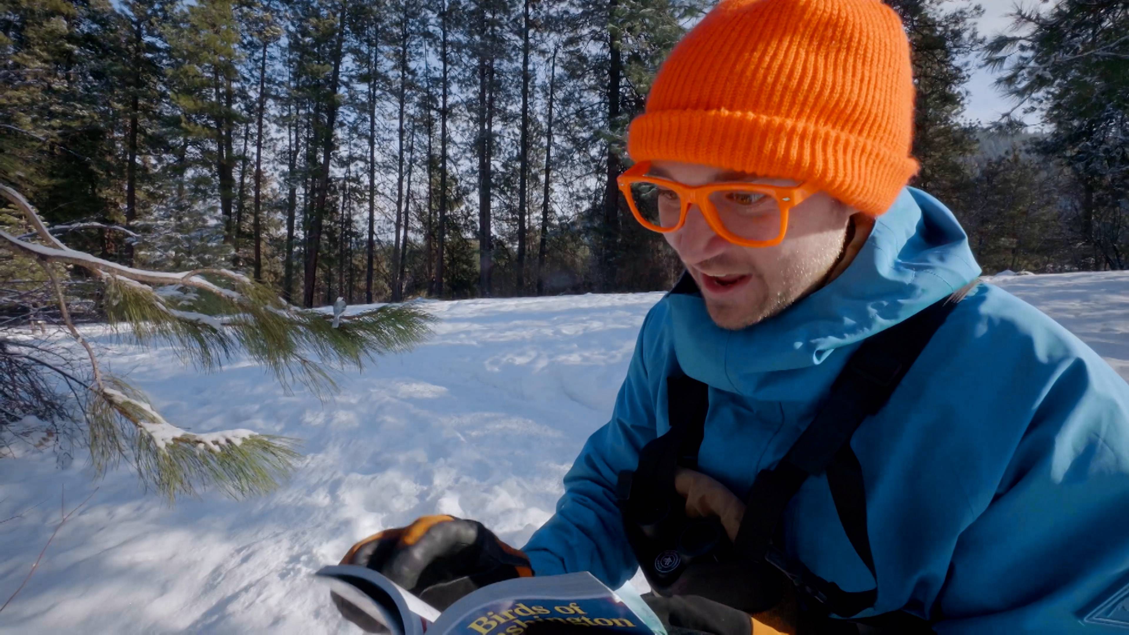 Blippi Learns About Birds - Animals in the Wild