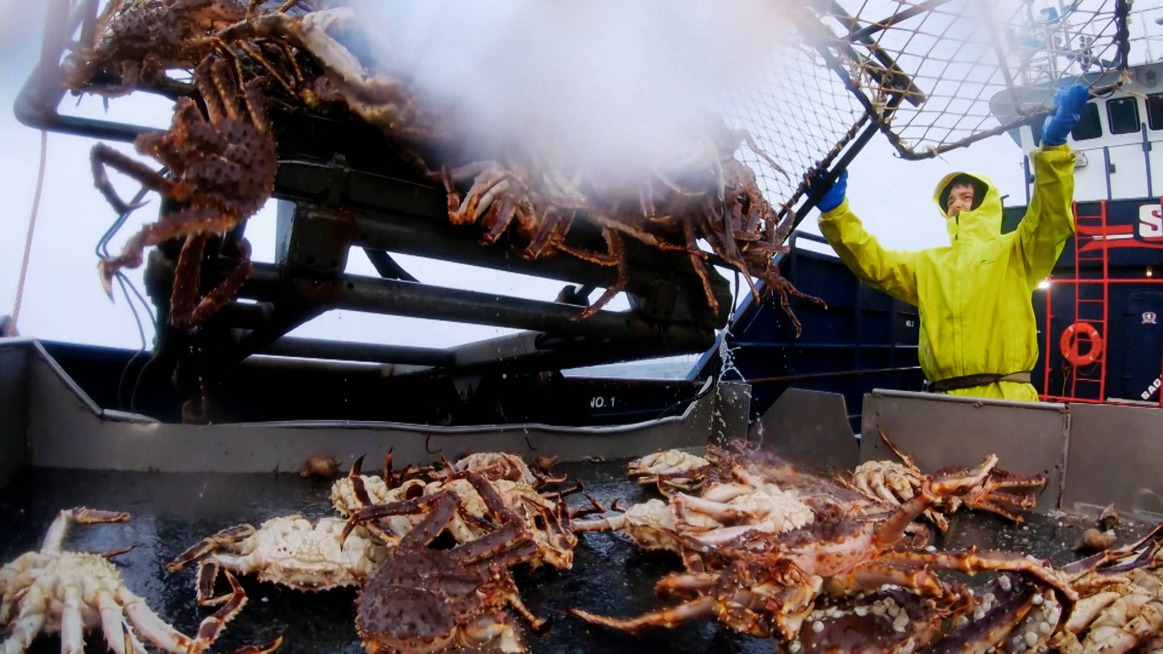 منطقة محظورة