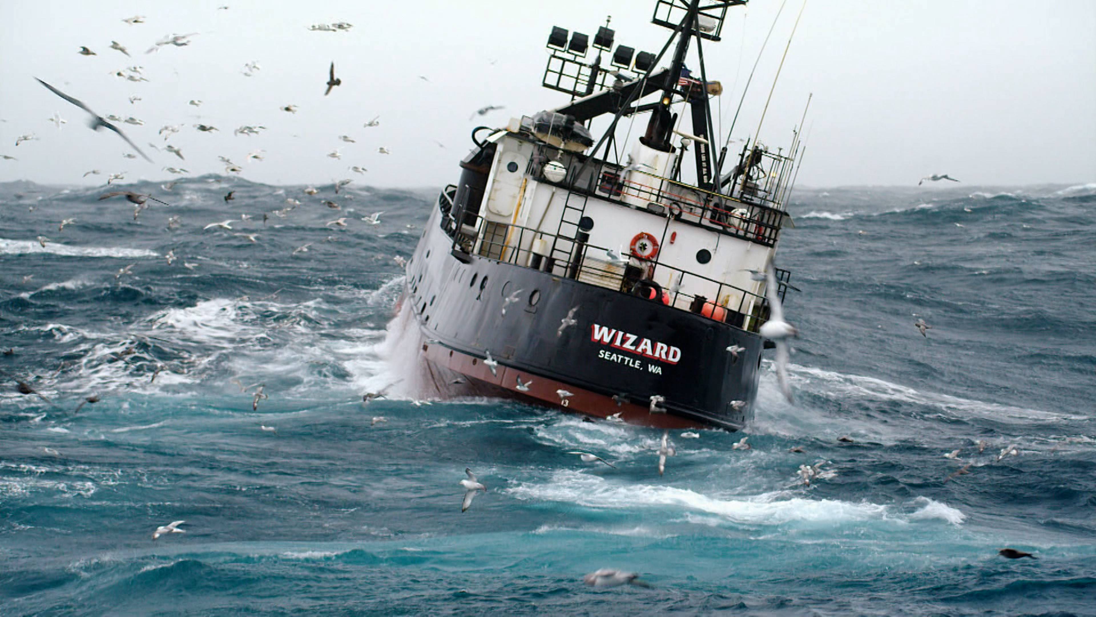 ماذا سيفعل فيل هاريس؟