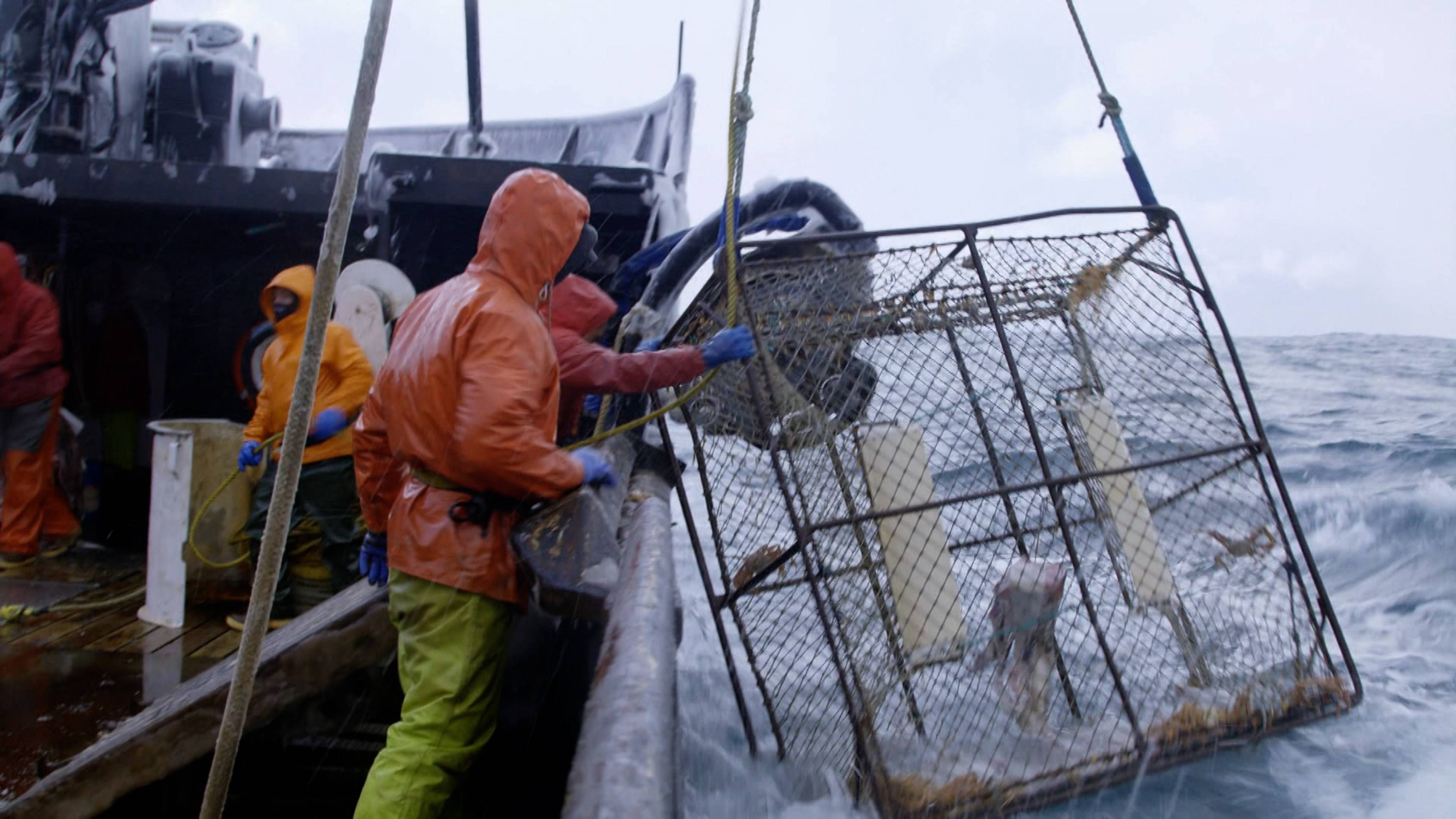 الحقيقة ستحررك