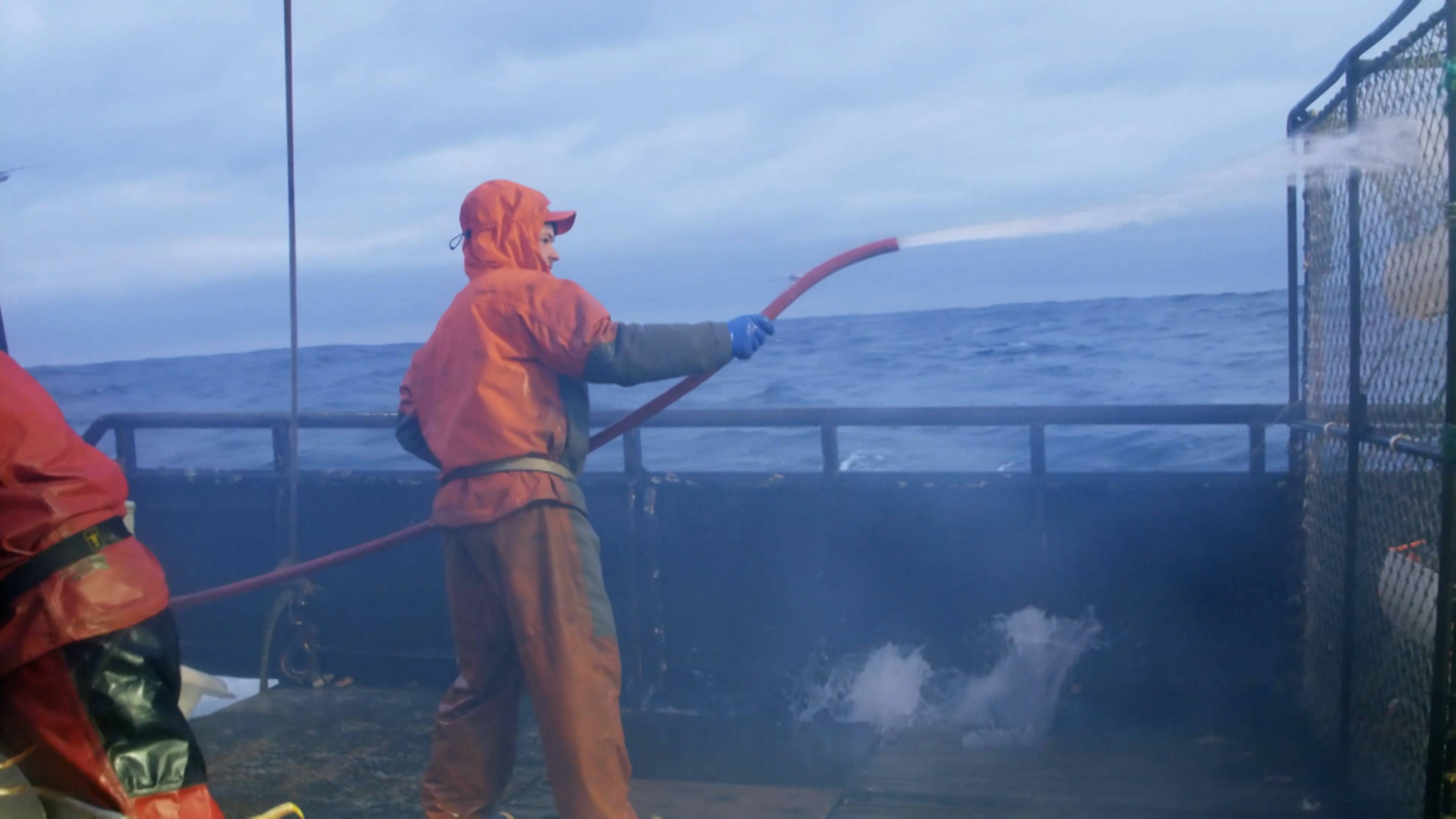 كاسحات السفن