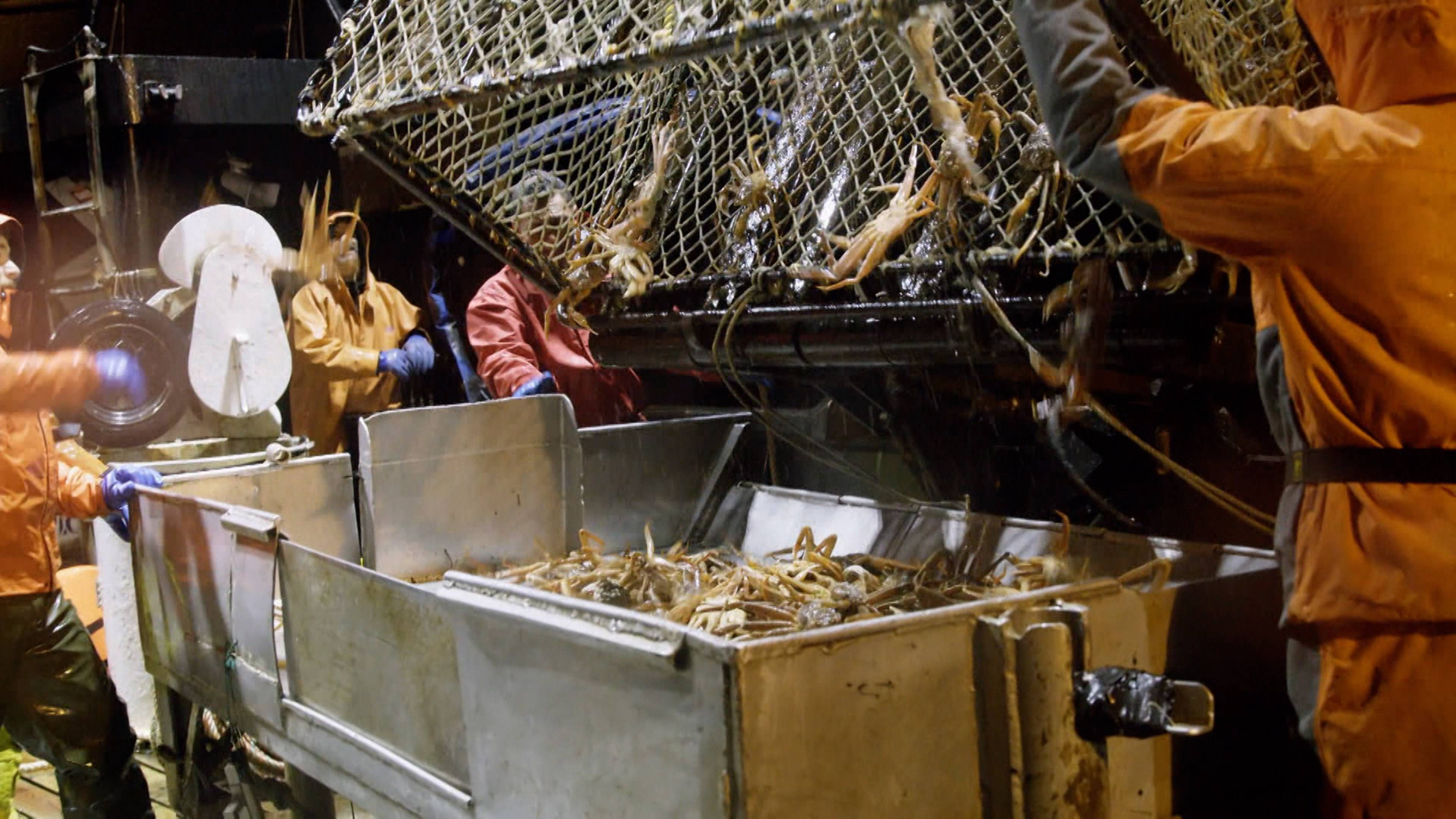 المياه الساكنة تسير إلى الأعماق