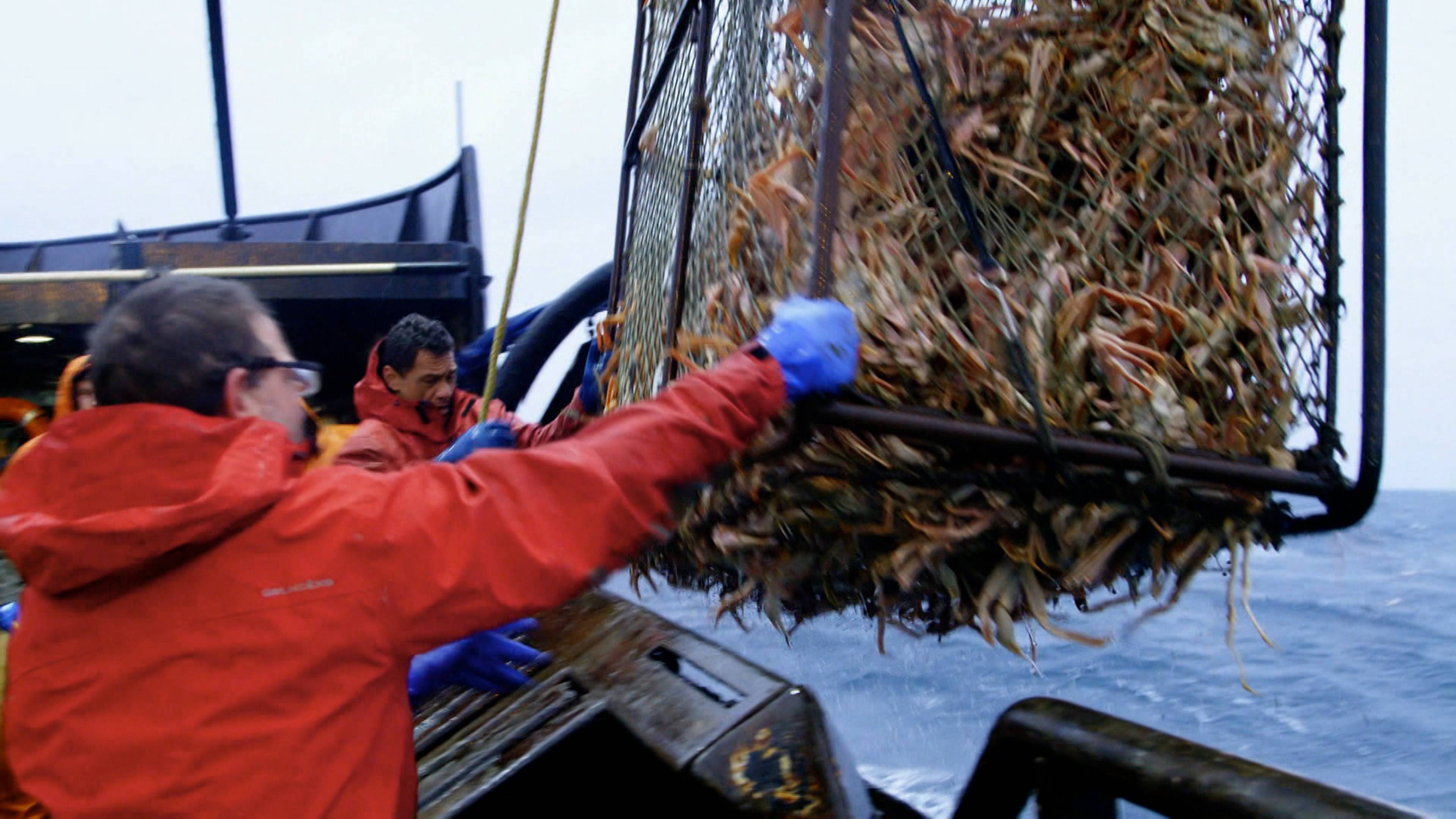 السعر النهائي