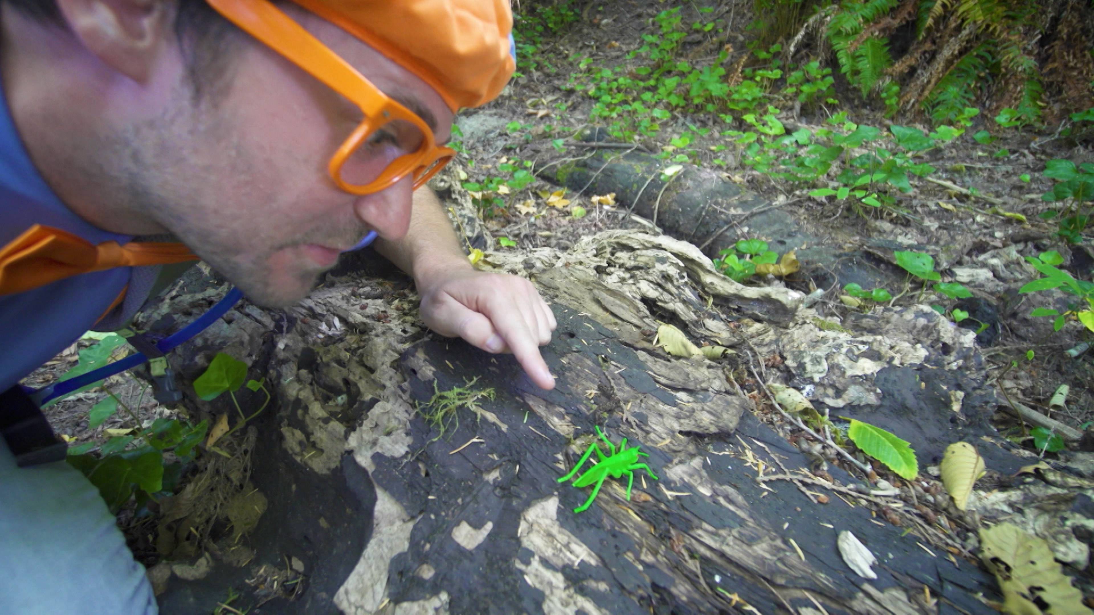 Blippi Hiking and Beach Clean Up