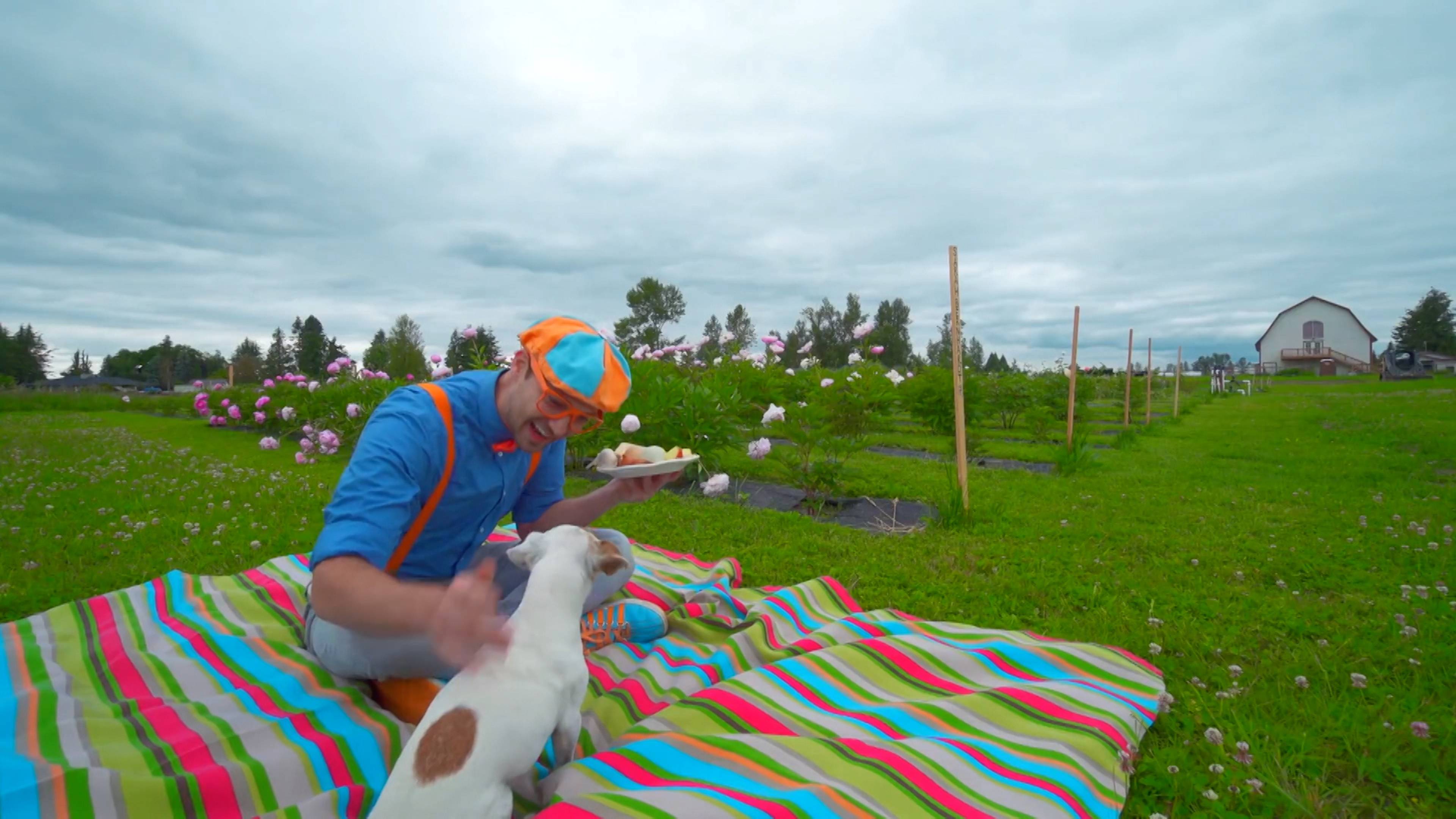 Blippi's Great Green Adventure