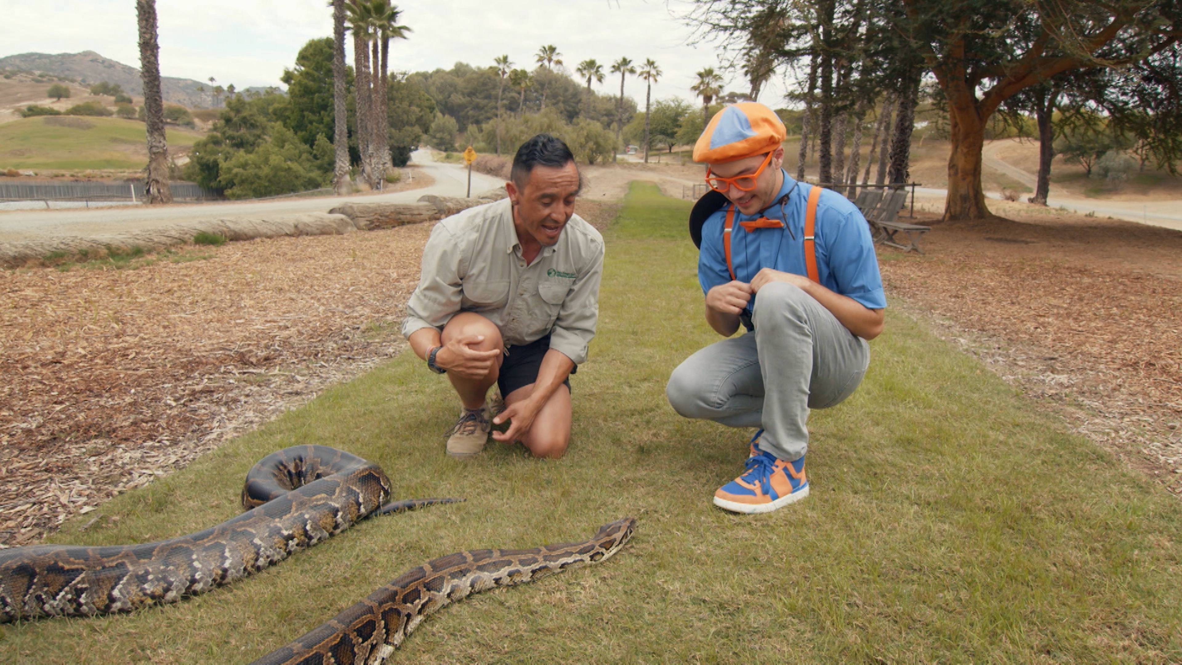 Blippi Explores a Safari Park | Hunt For The Platy