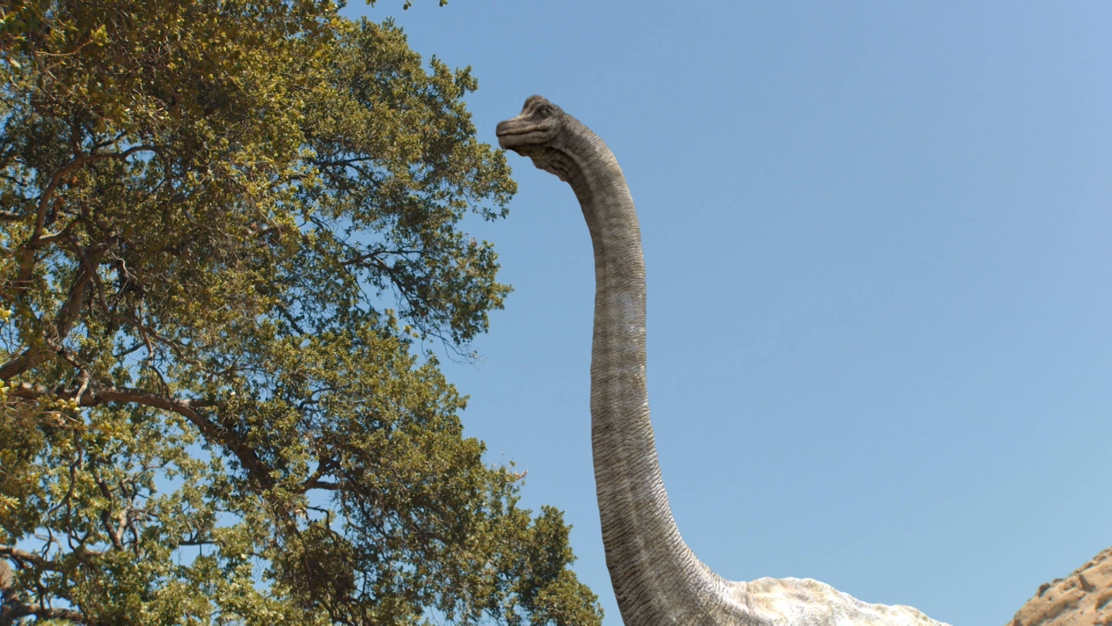 Blippi x T-Rex Crossover