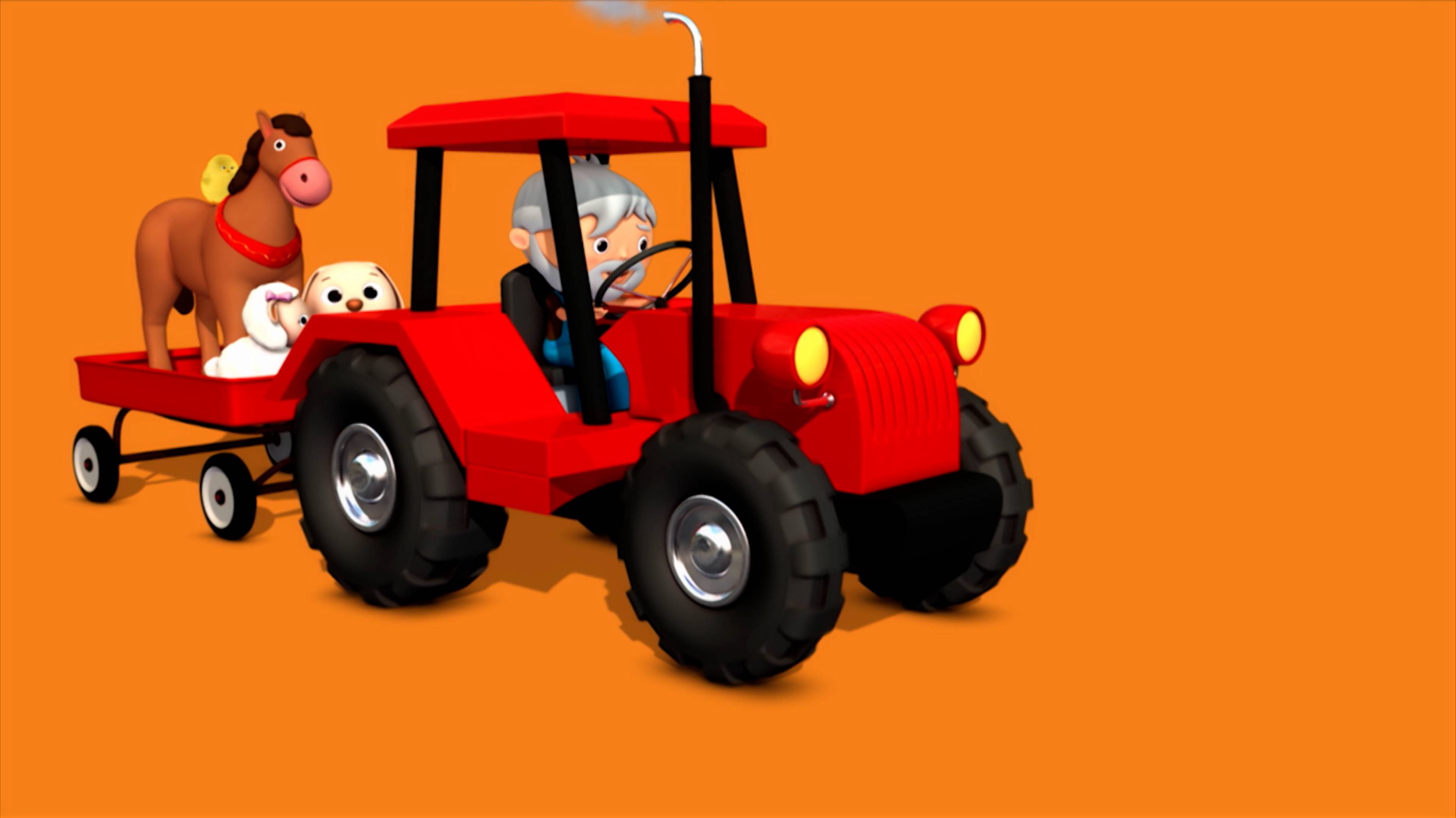 Animal Exciting Adventures