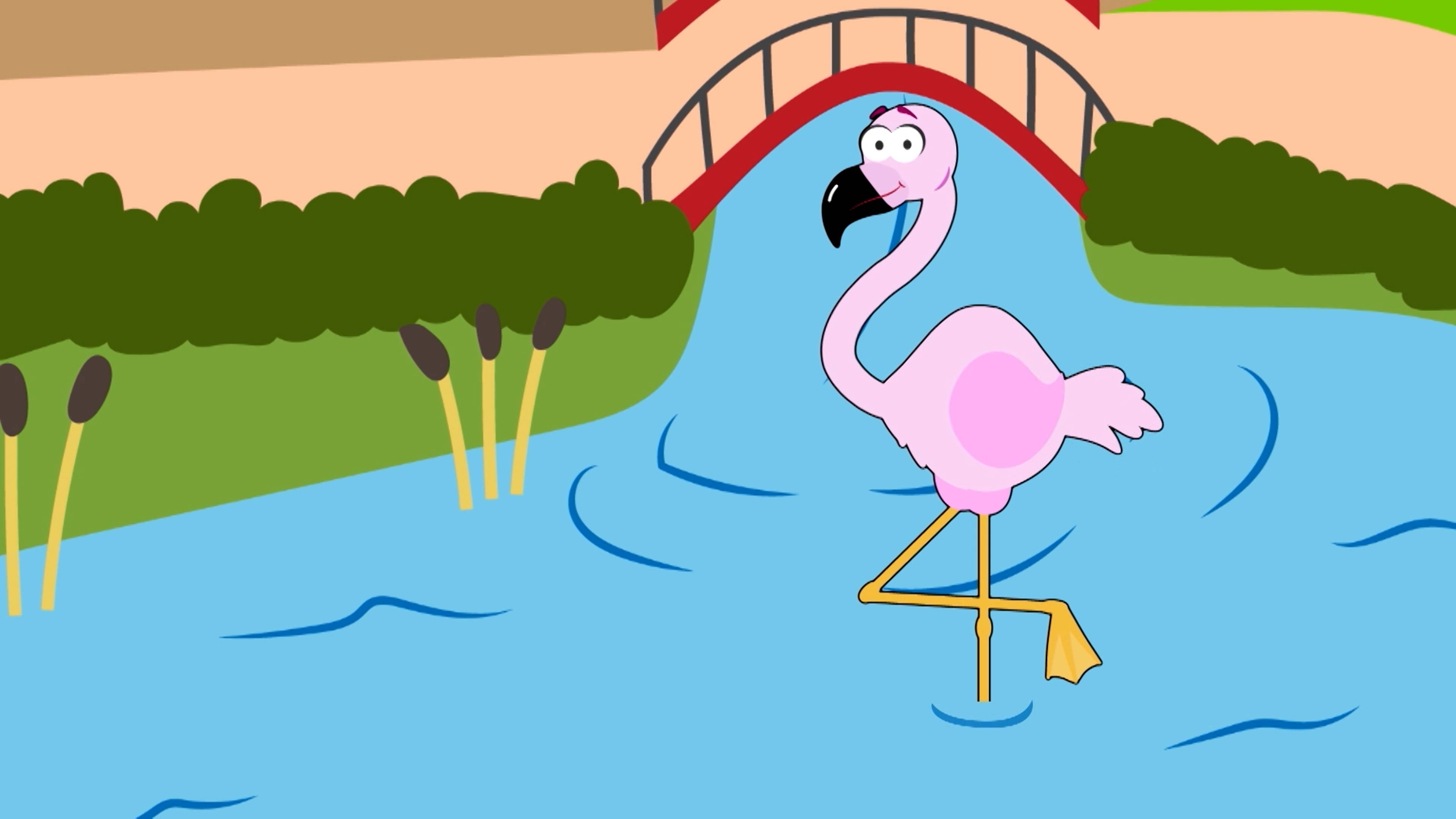 أن أميزنغ داي