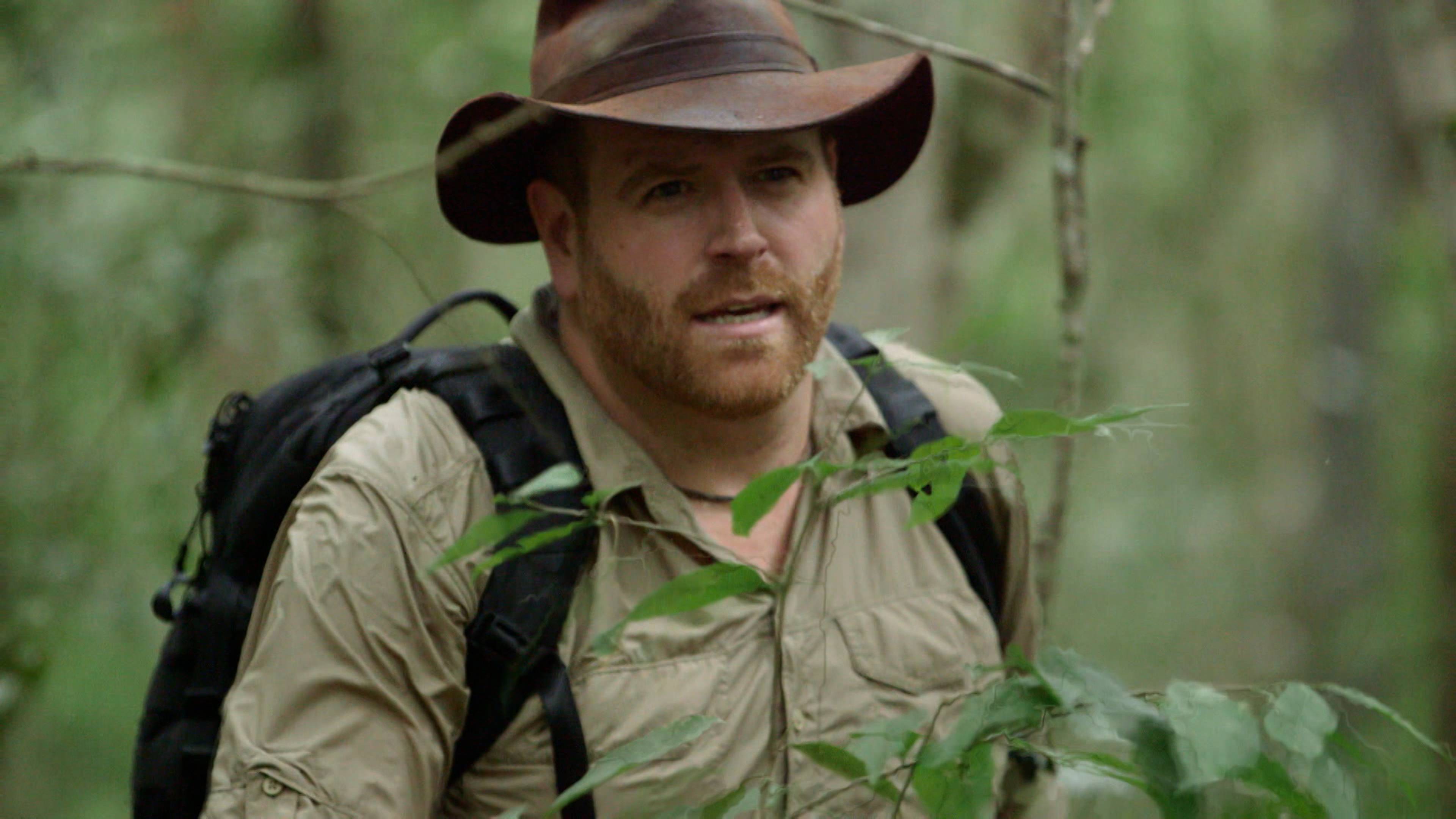 الشيطان في الغابة