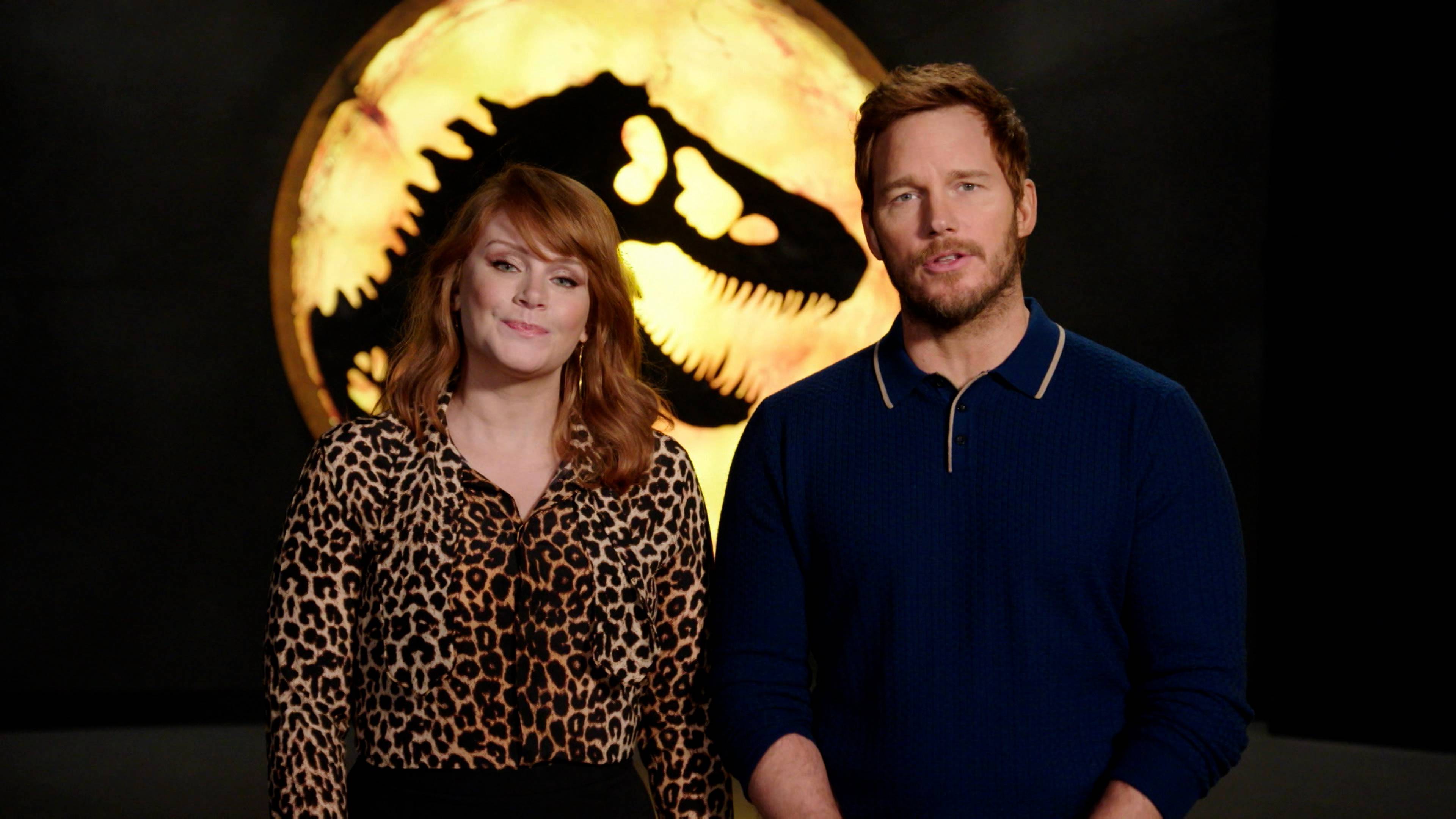 Swallow the Competition