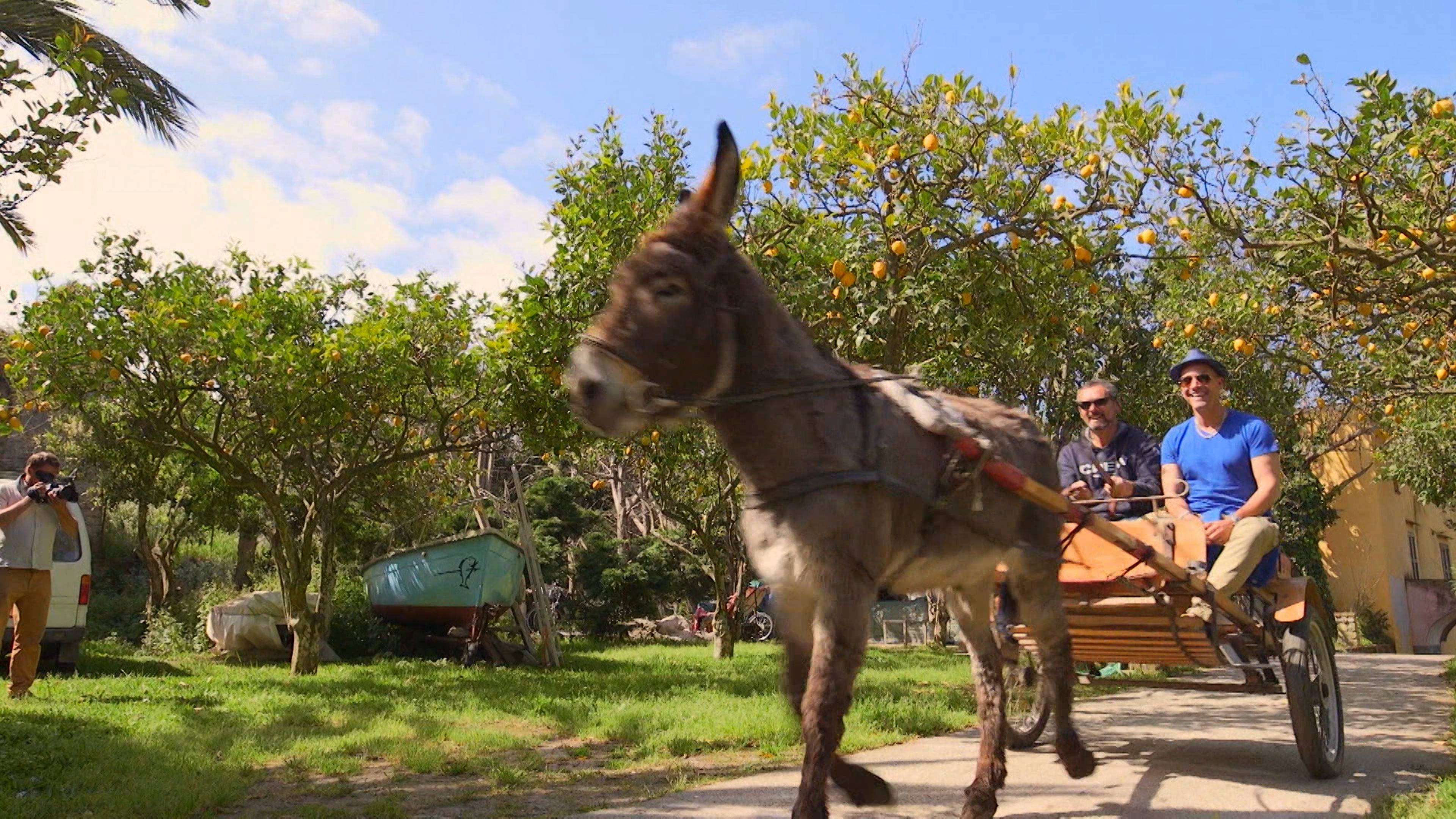 بروسيدا تايم