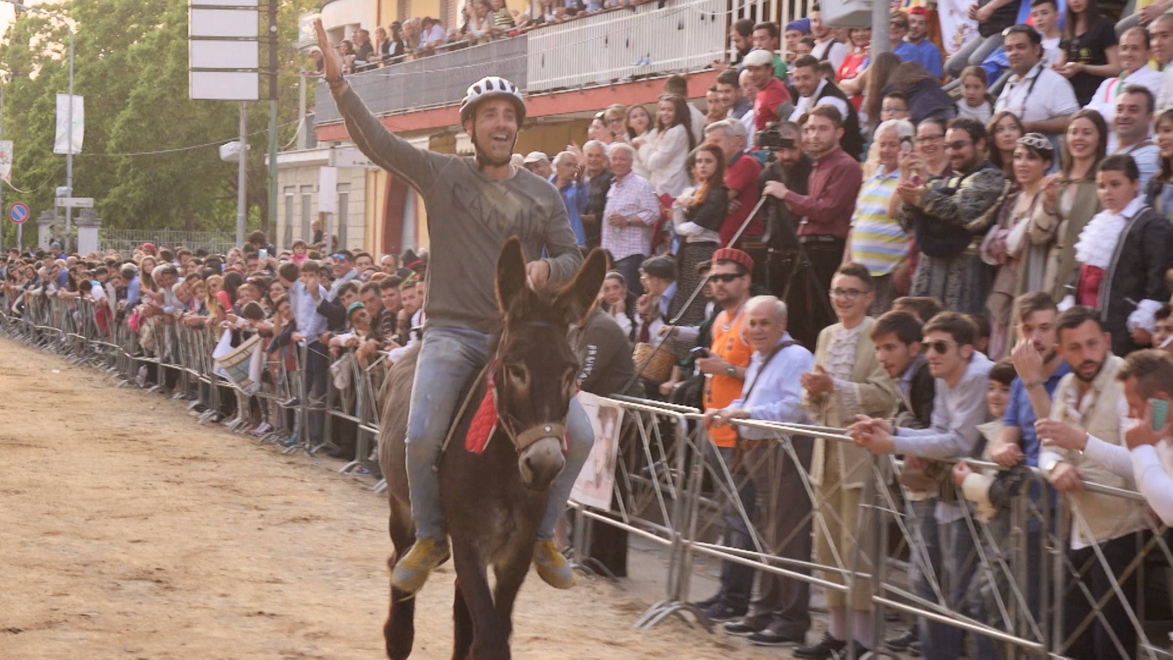 ذا دونكي ريس