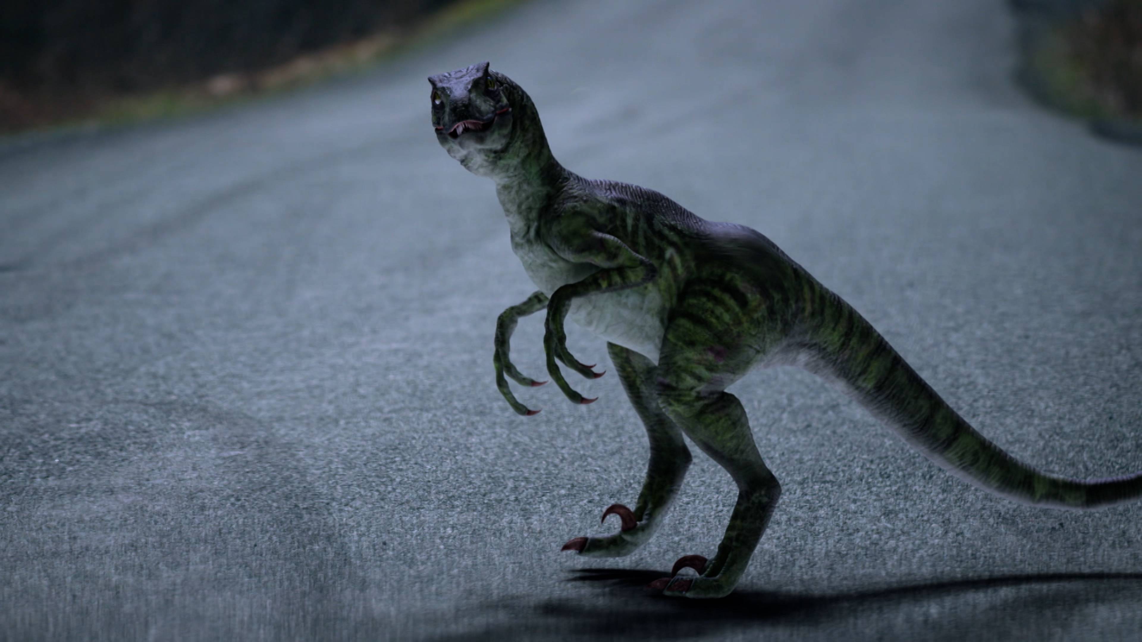 UFOs Of The Triangle