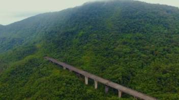 Lost Highway in The Rainforest