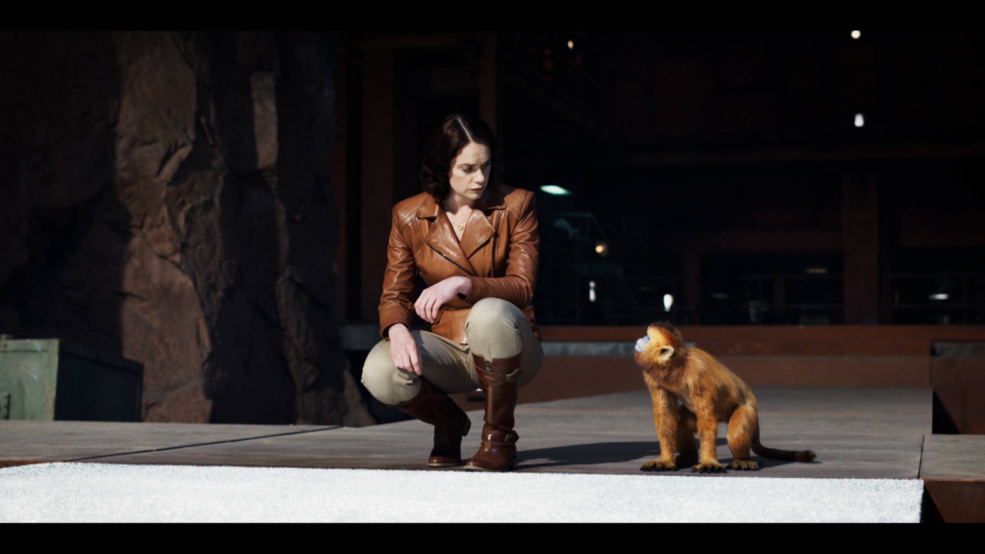 The Clouded Mountain