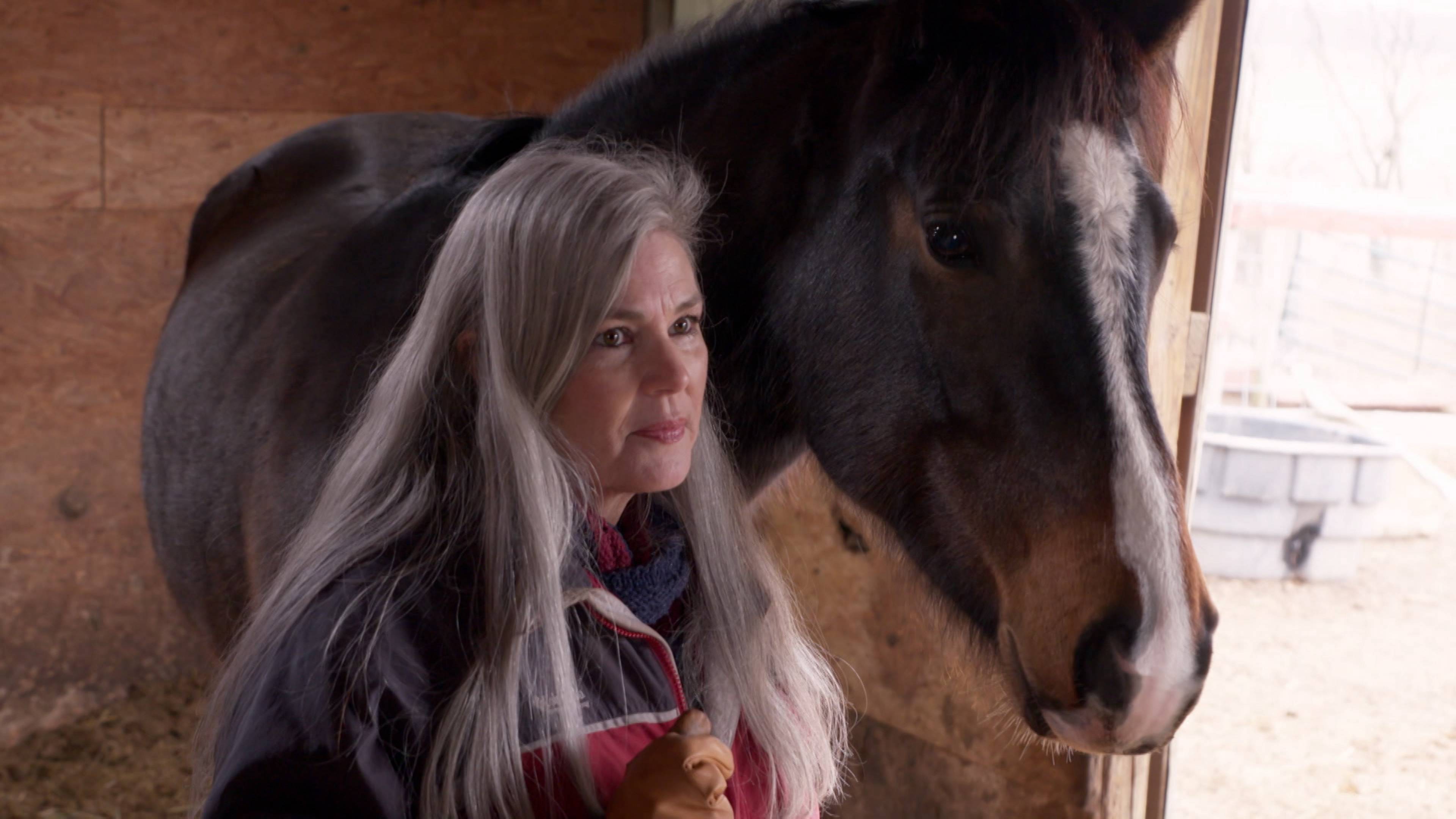 Get Off Your High Horse