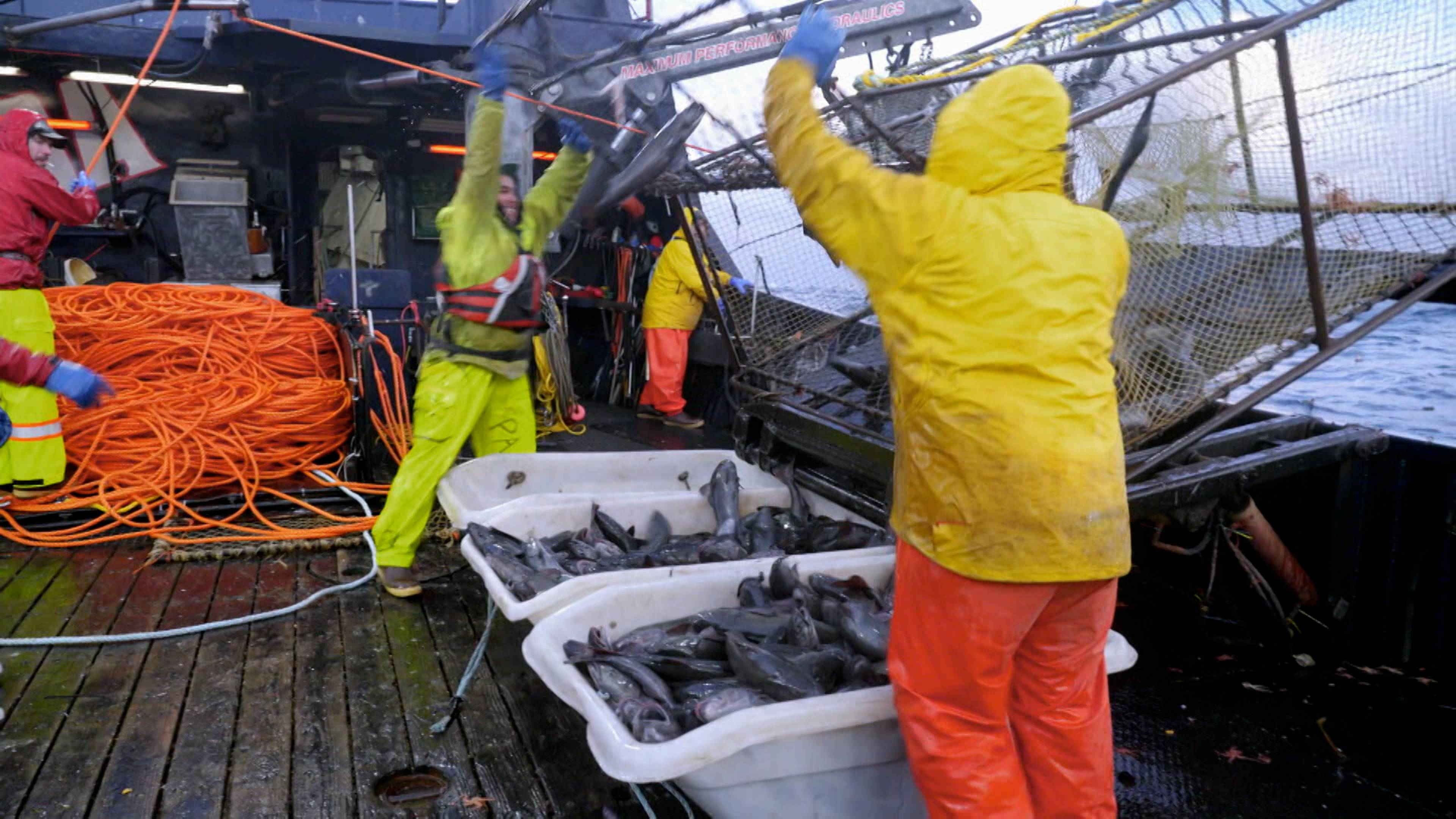 المد والجزر