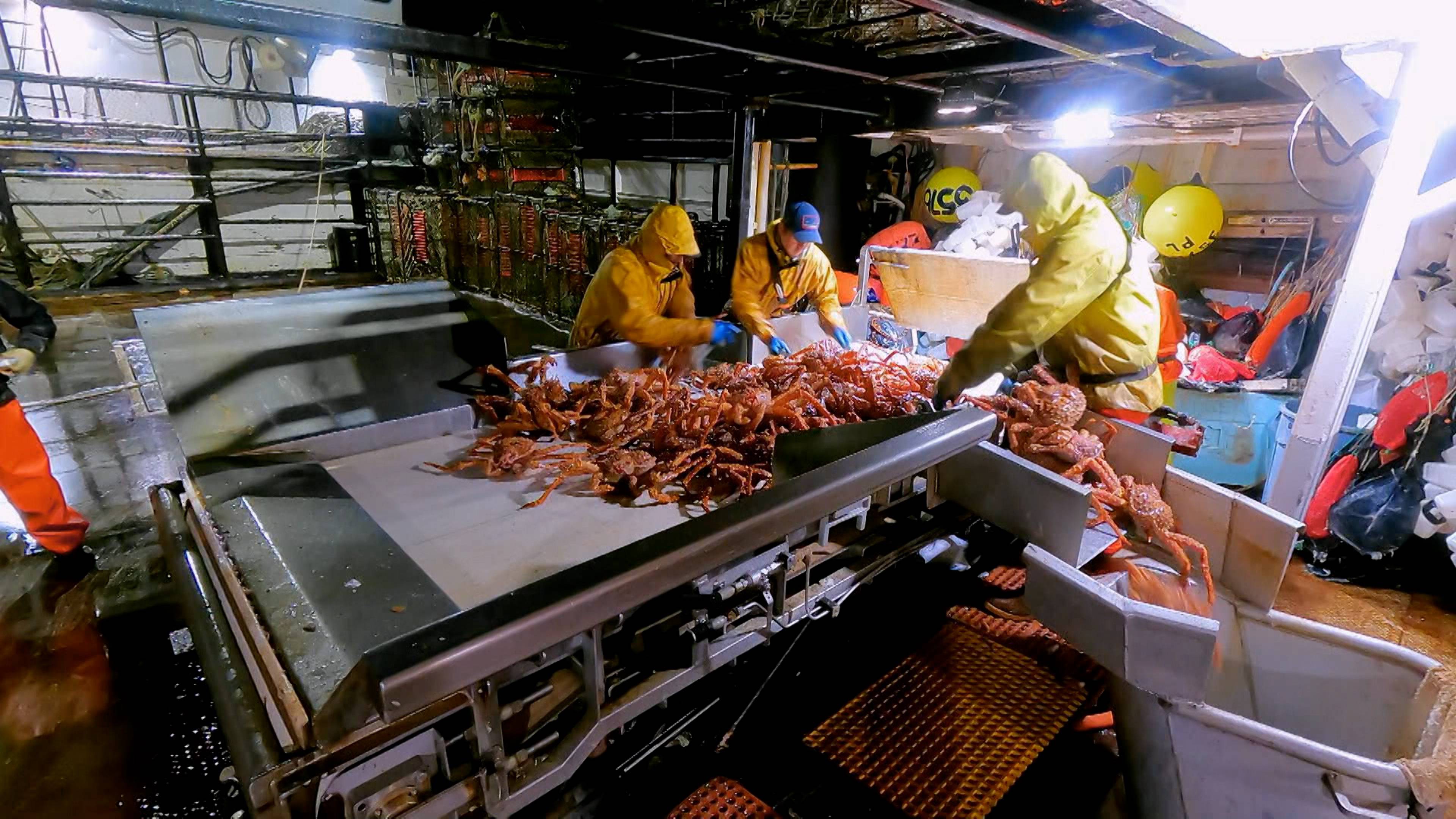 متعة البحار