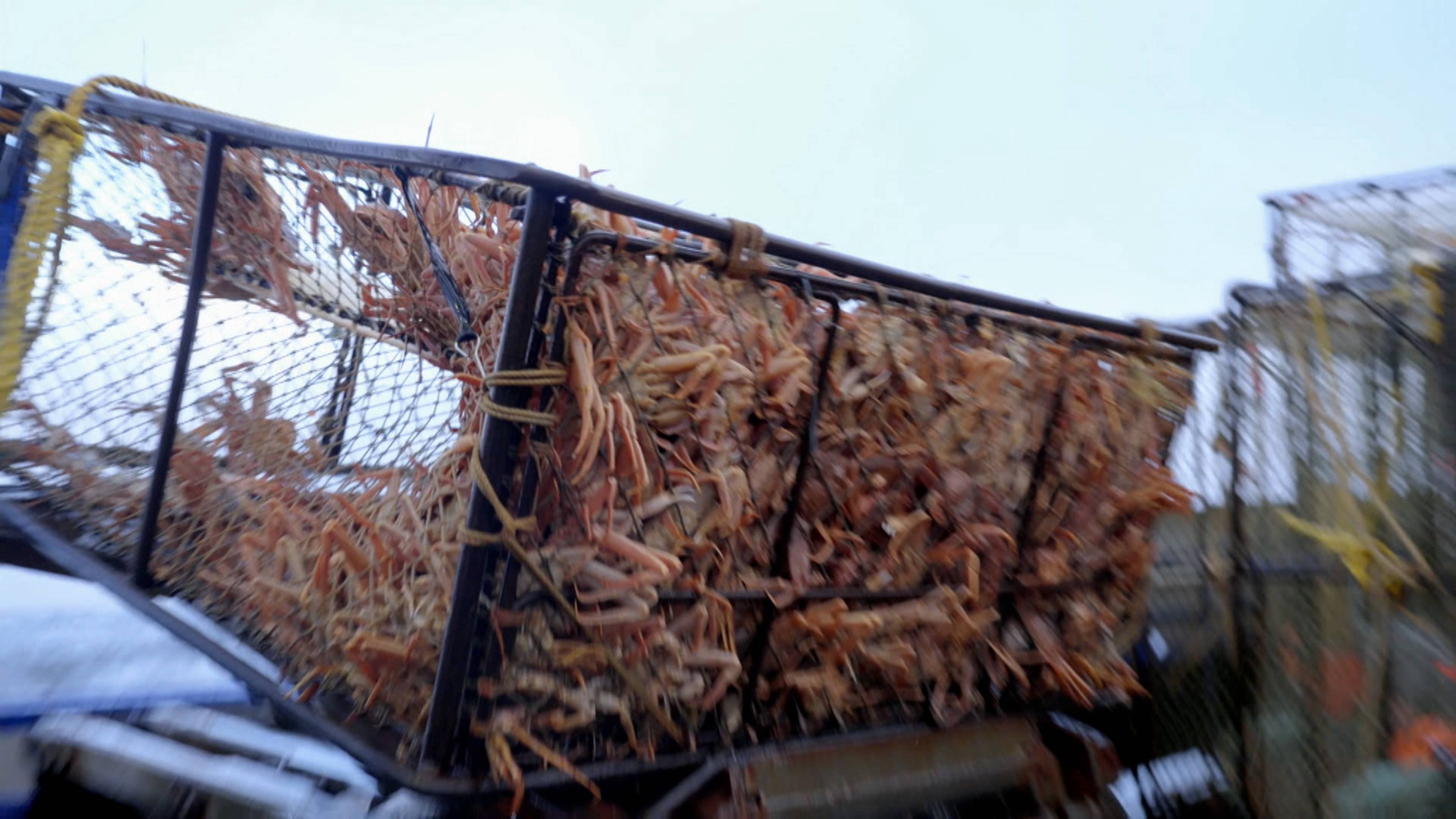 إلى أقصى الأرض