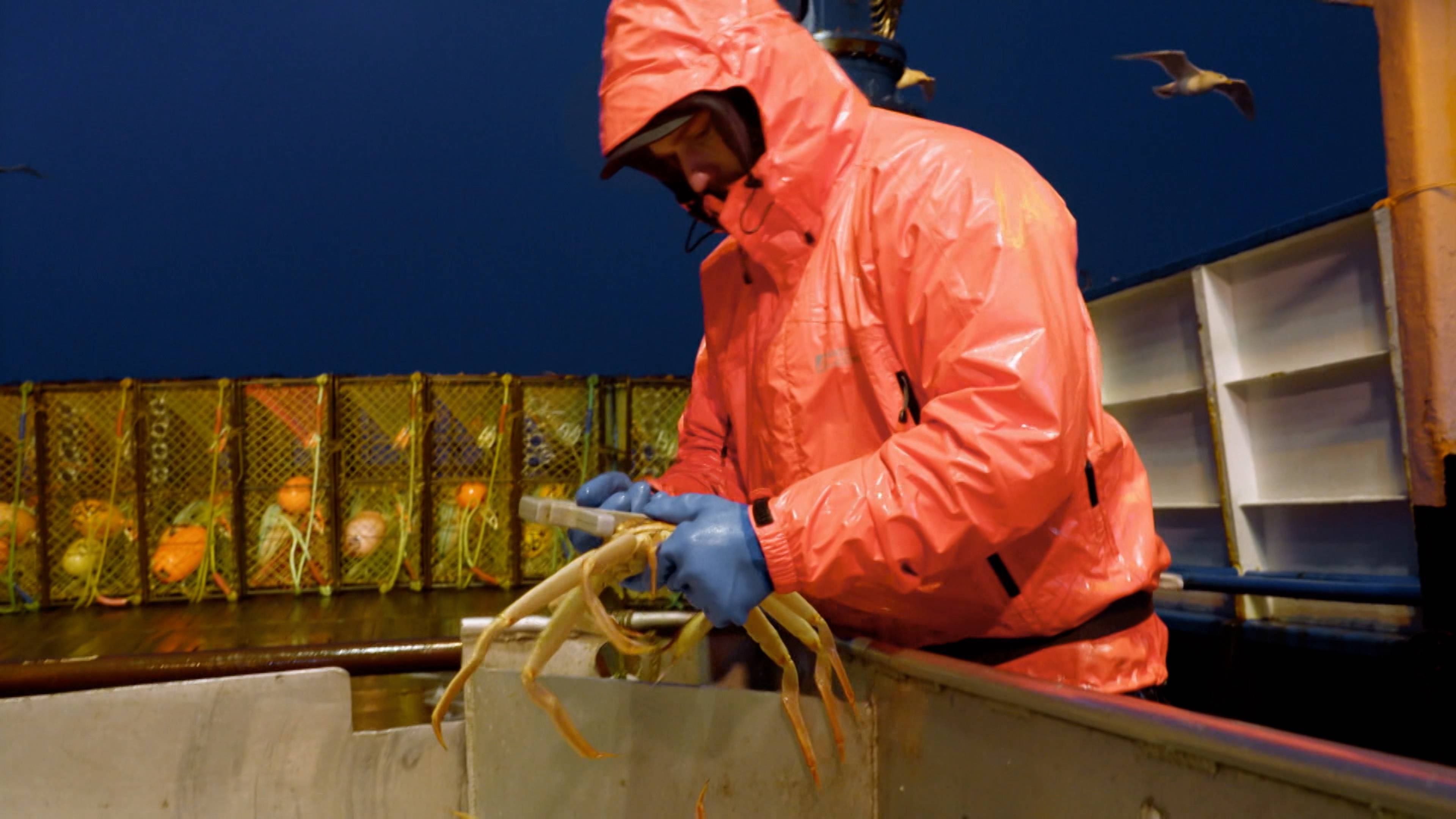 الطريق الوعر