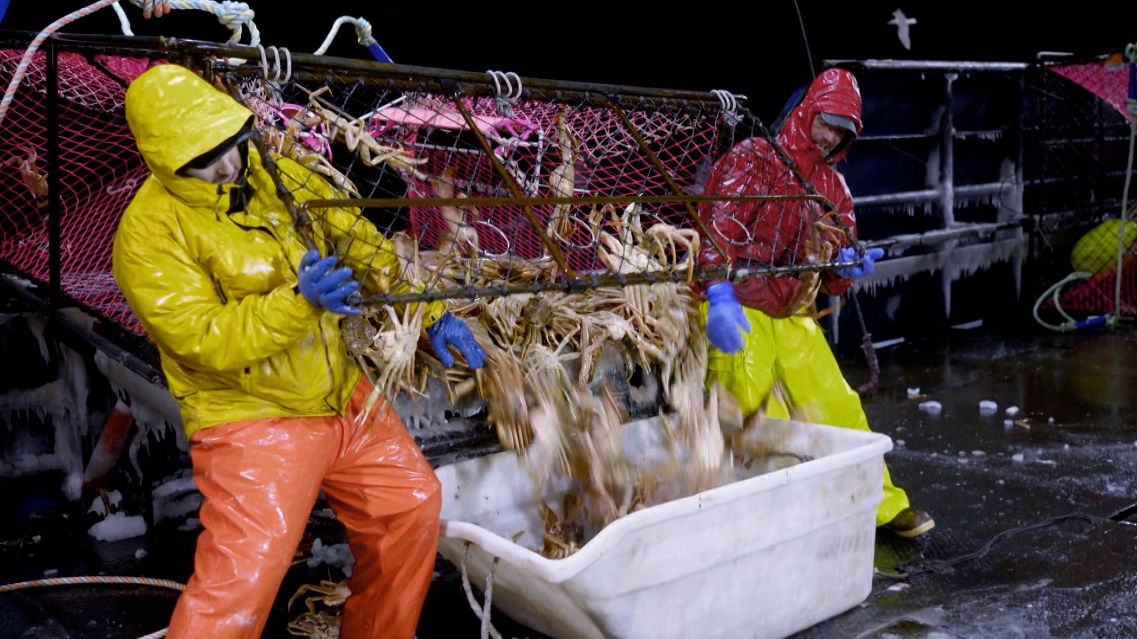 مقبرة المعدات