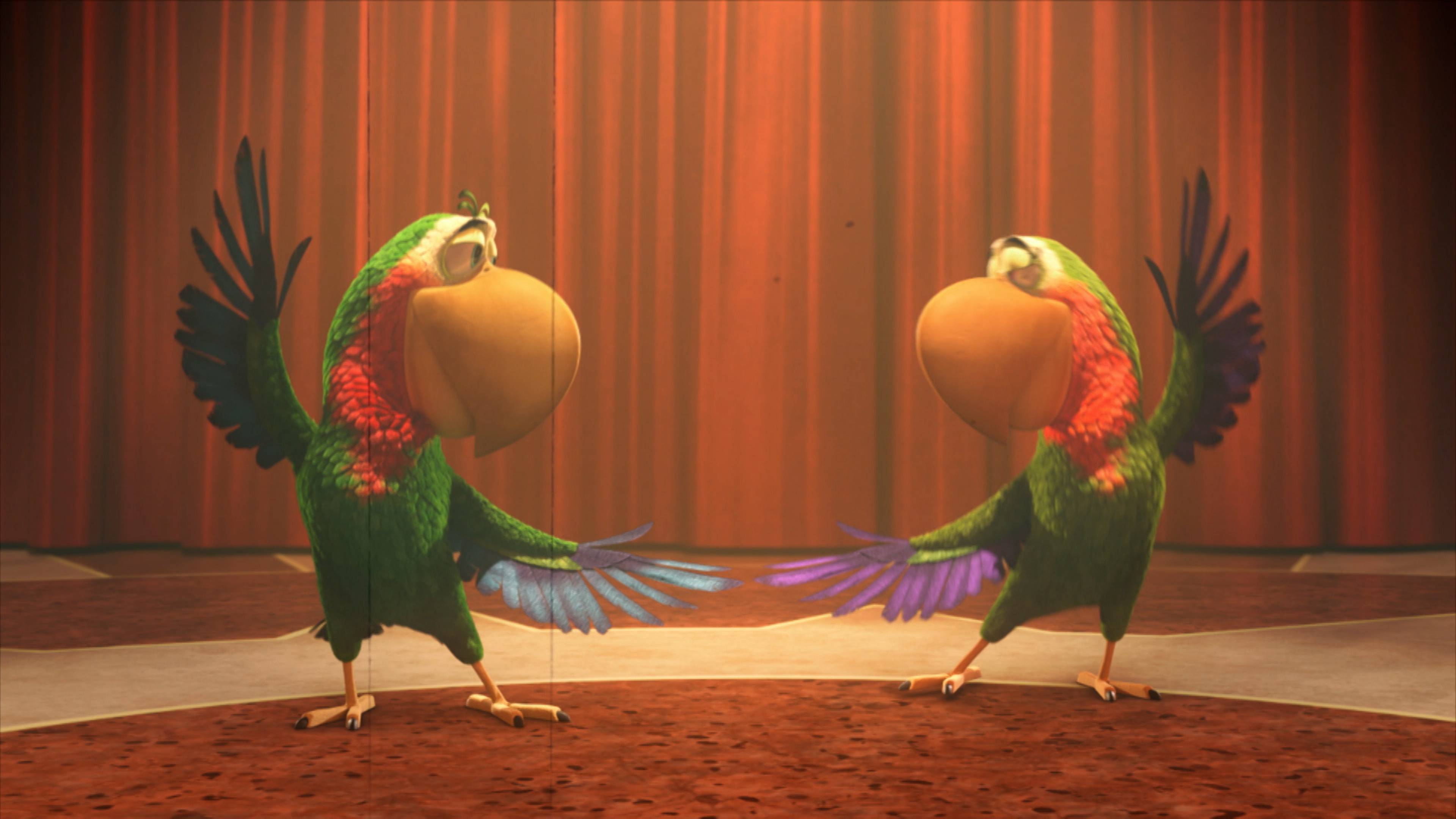 ستريكلي سالسا