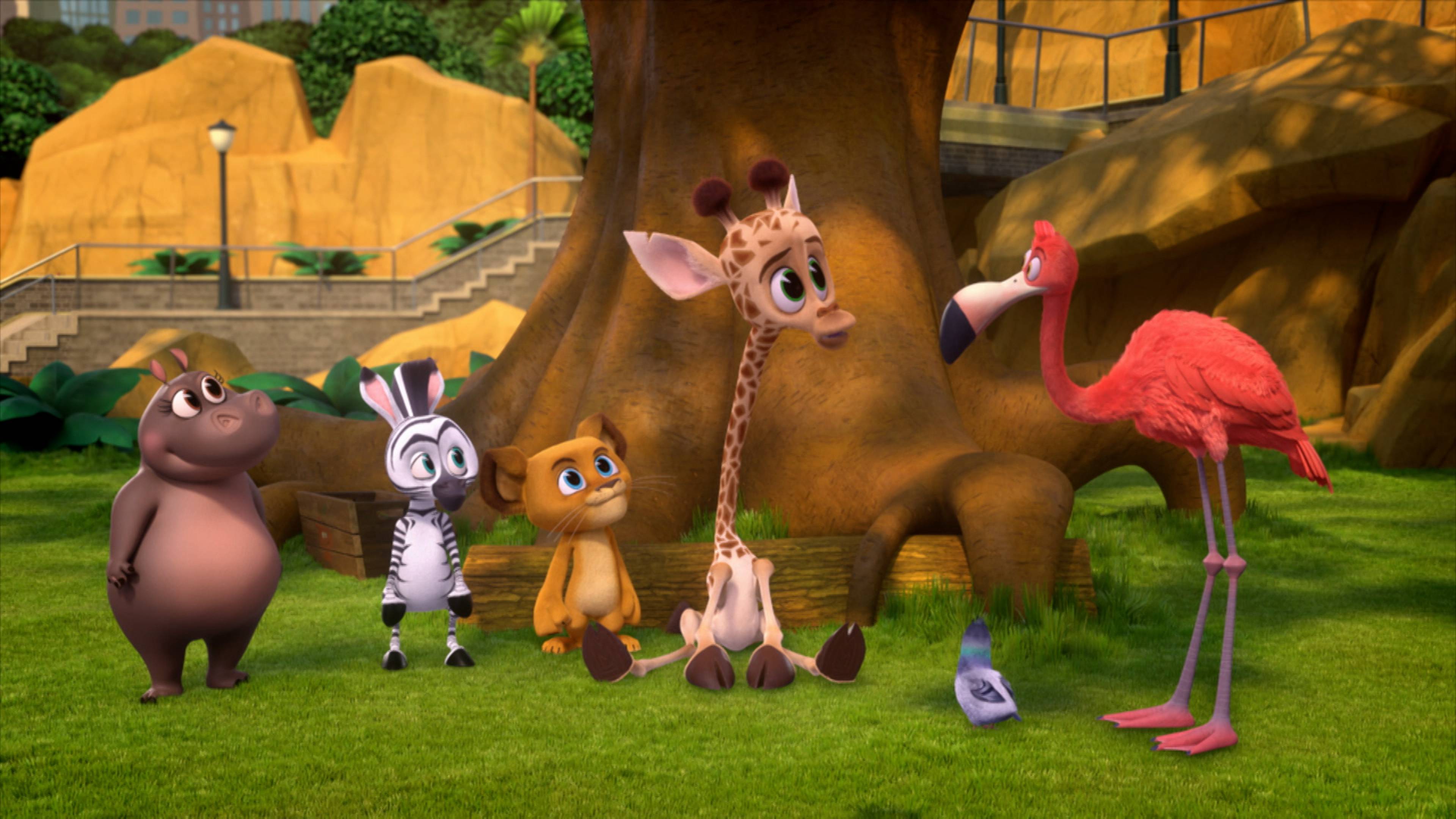 ايه برونكس (زو) تيل