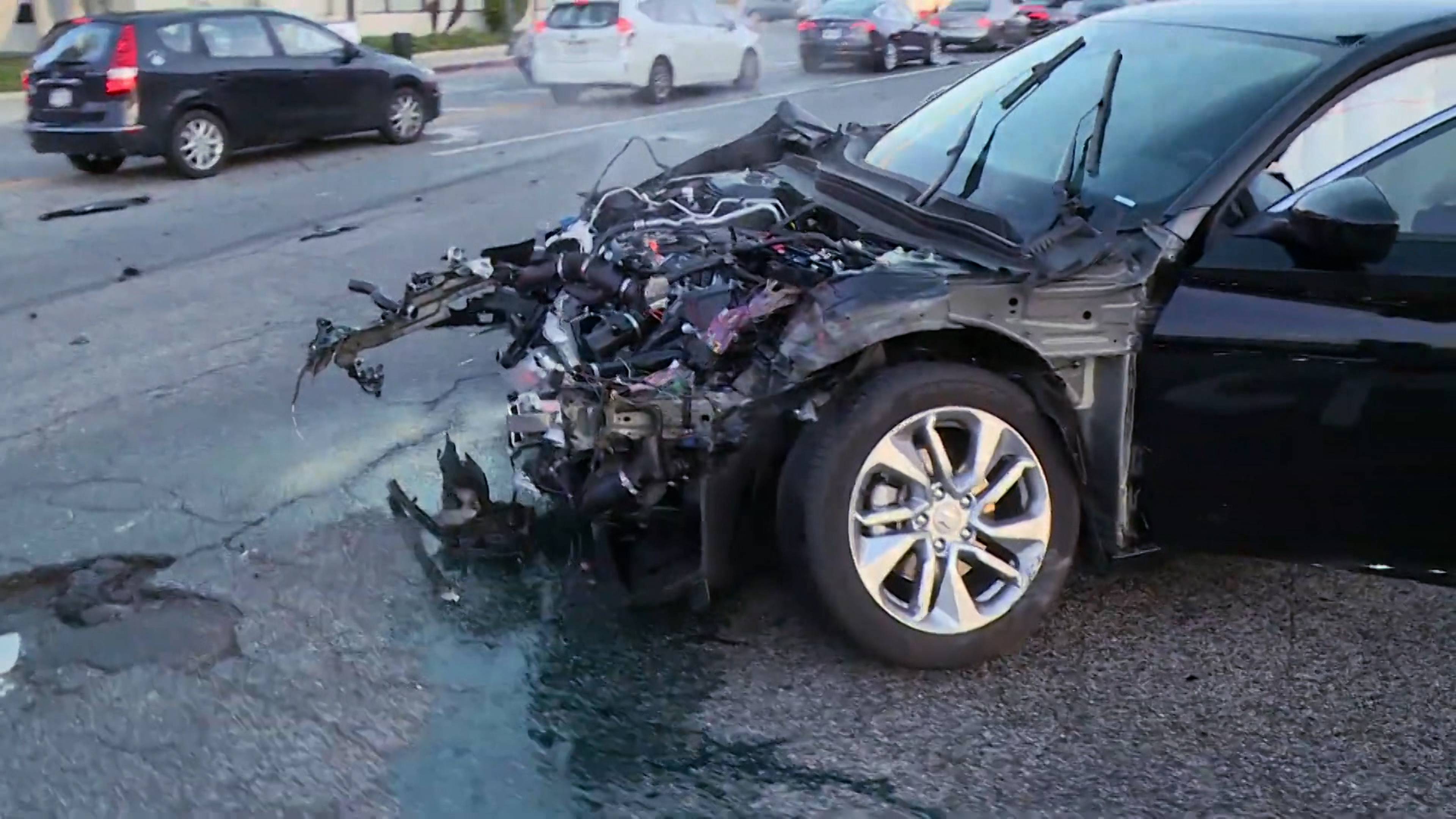 Who Let The Dogs Out?