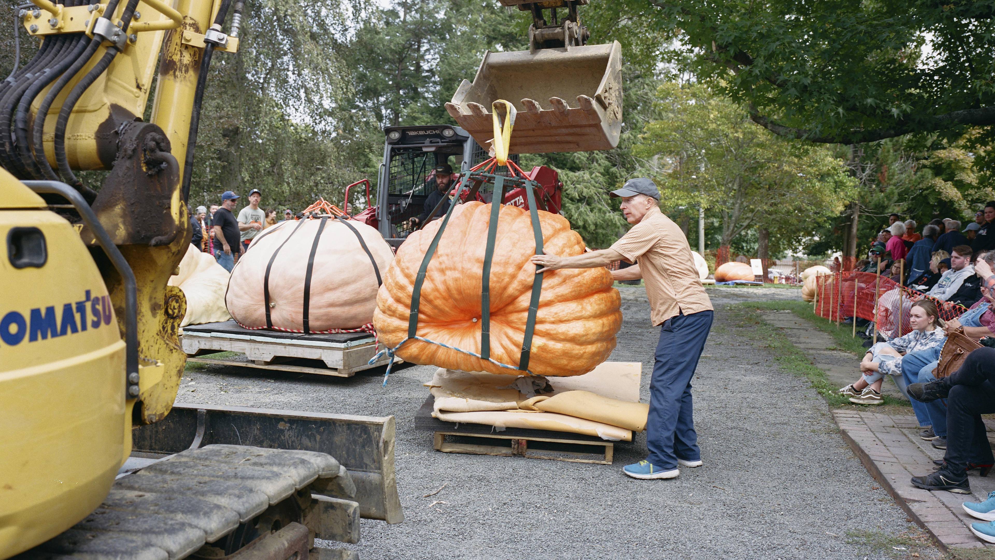 هاو تو ورك أوت