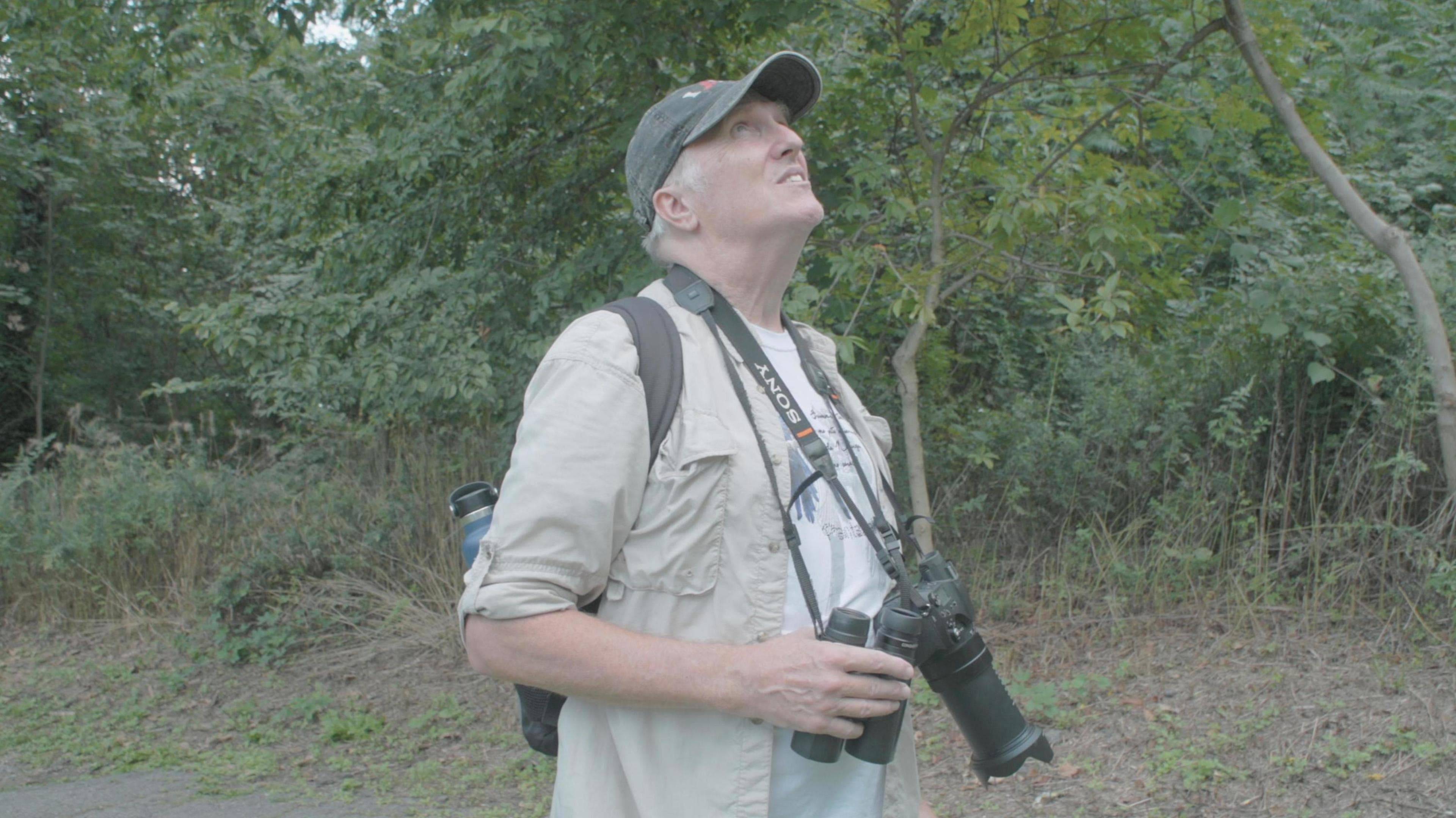 هاو تو ووتش بيردز