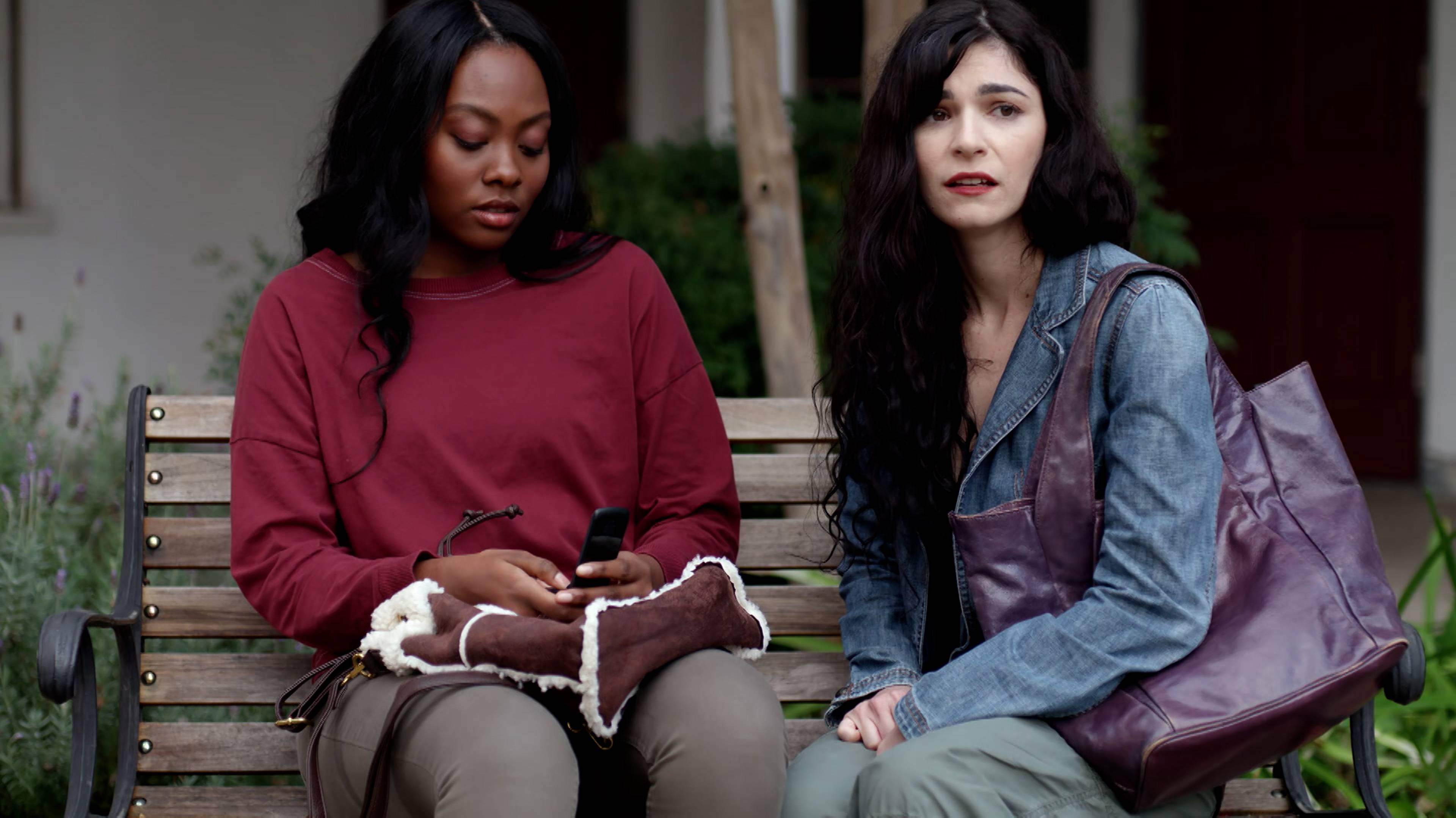 The Predator Of Pleasant View