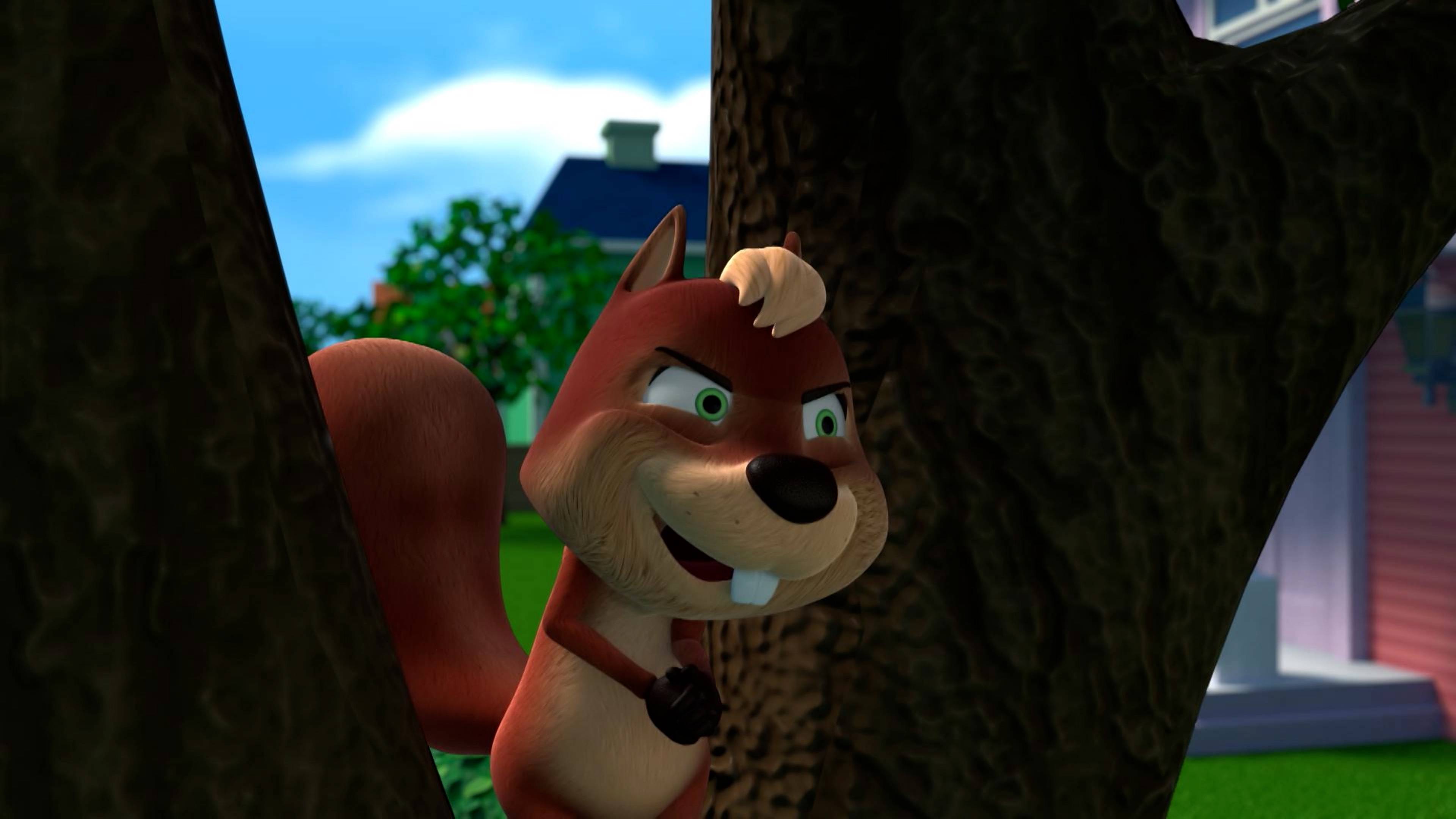 Little Squirrel Lost