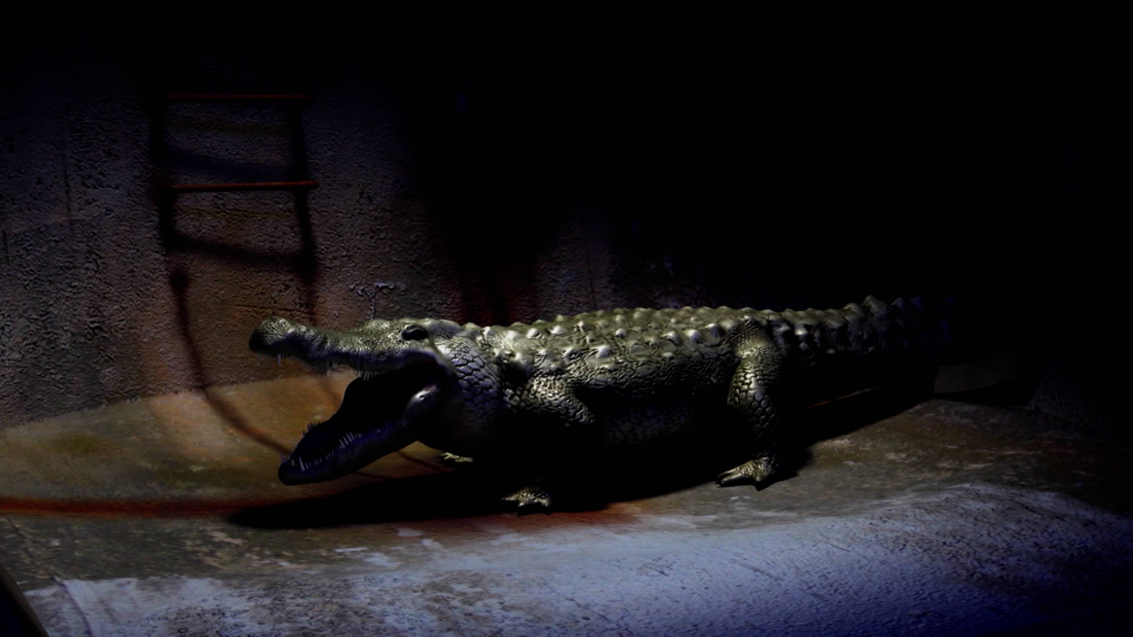 Gators In The Sewers