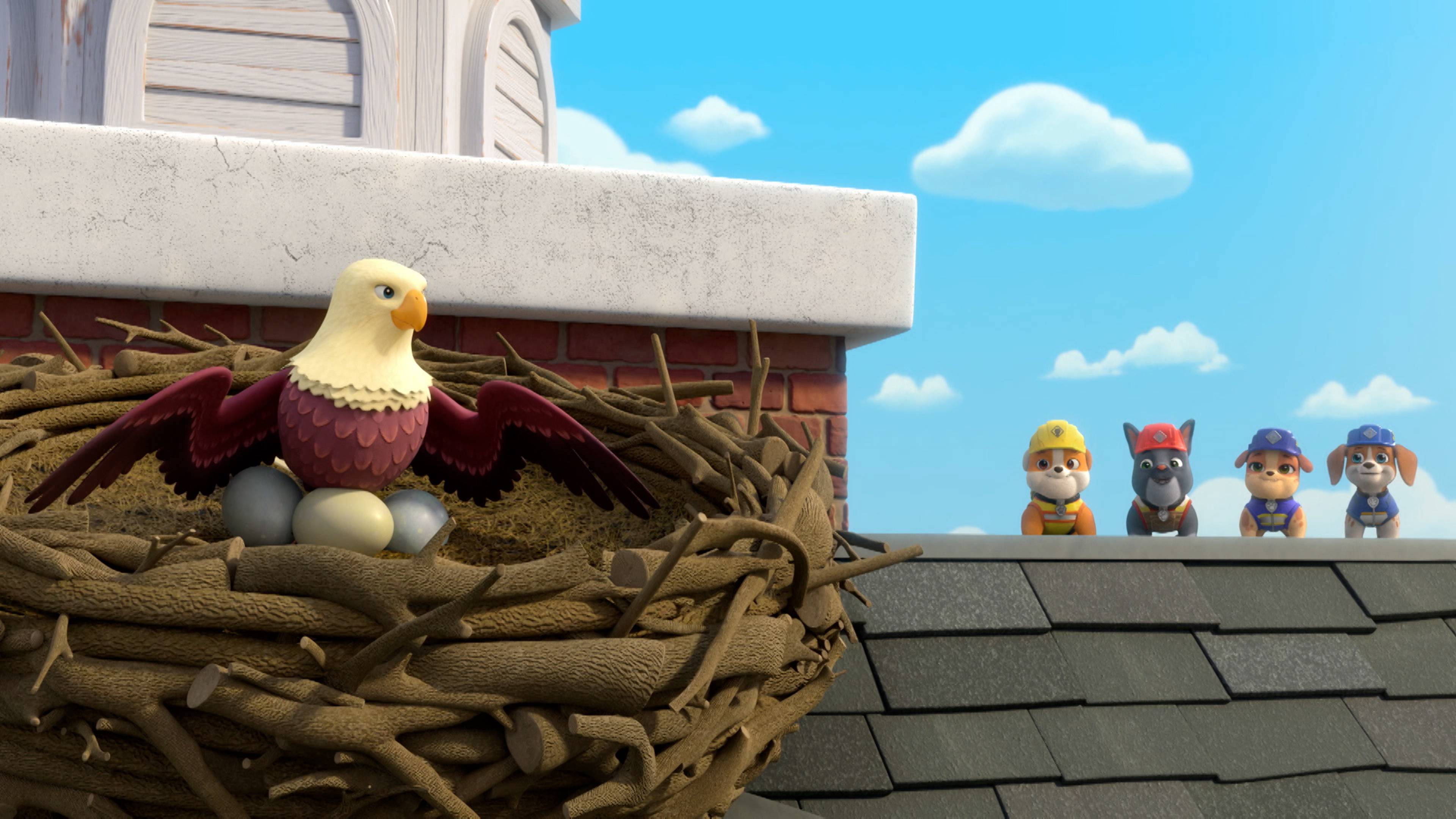 The Crew Builds a Playground/The Crew Fixes a Roof