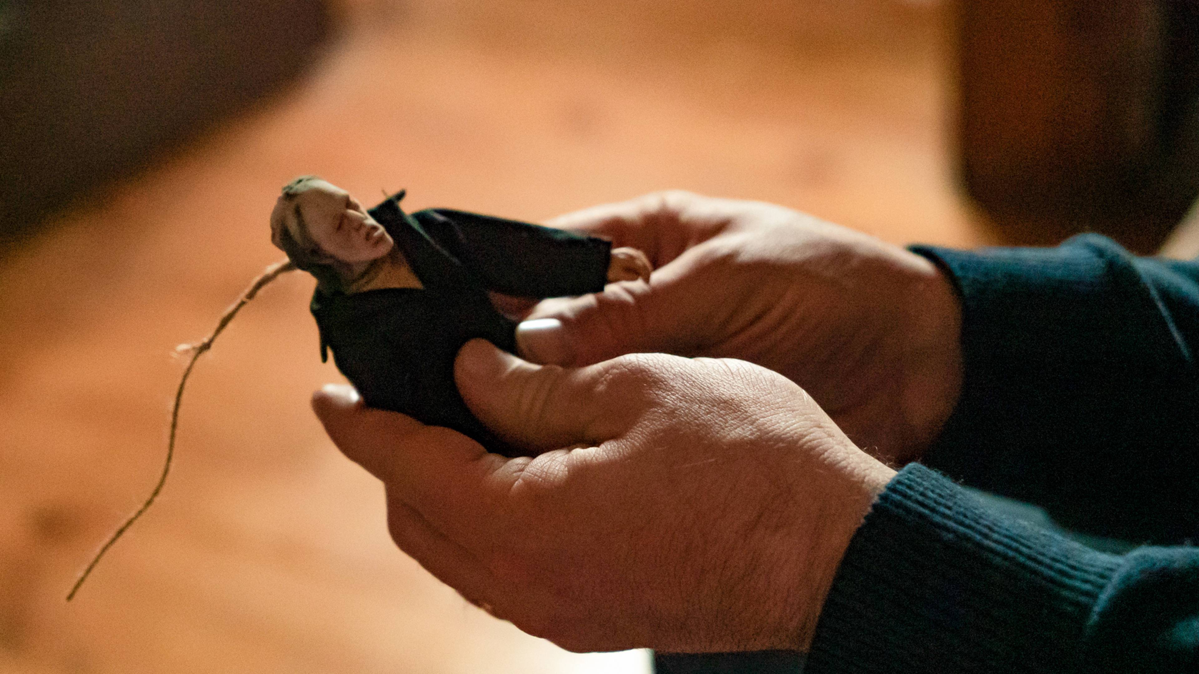 Dollhouse of the Damned