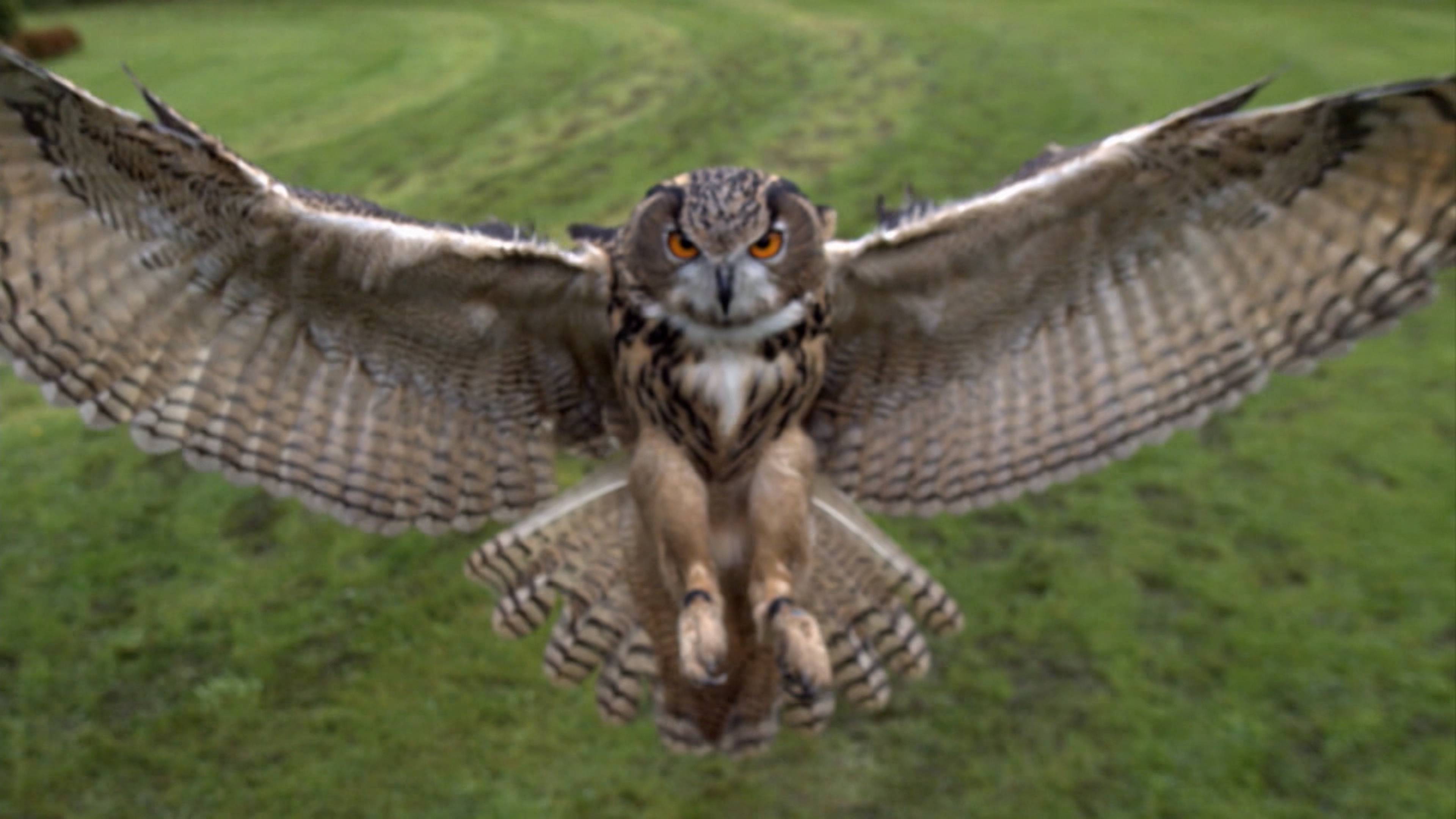 Devils In New Jersey