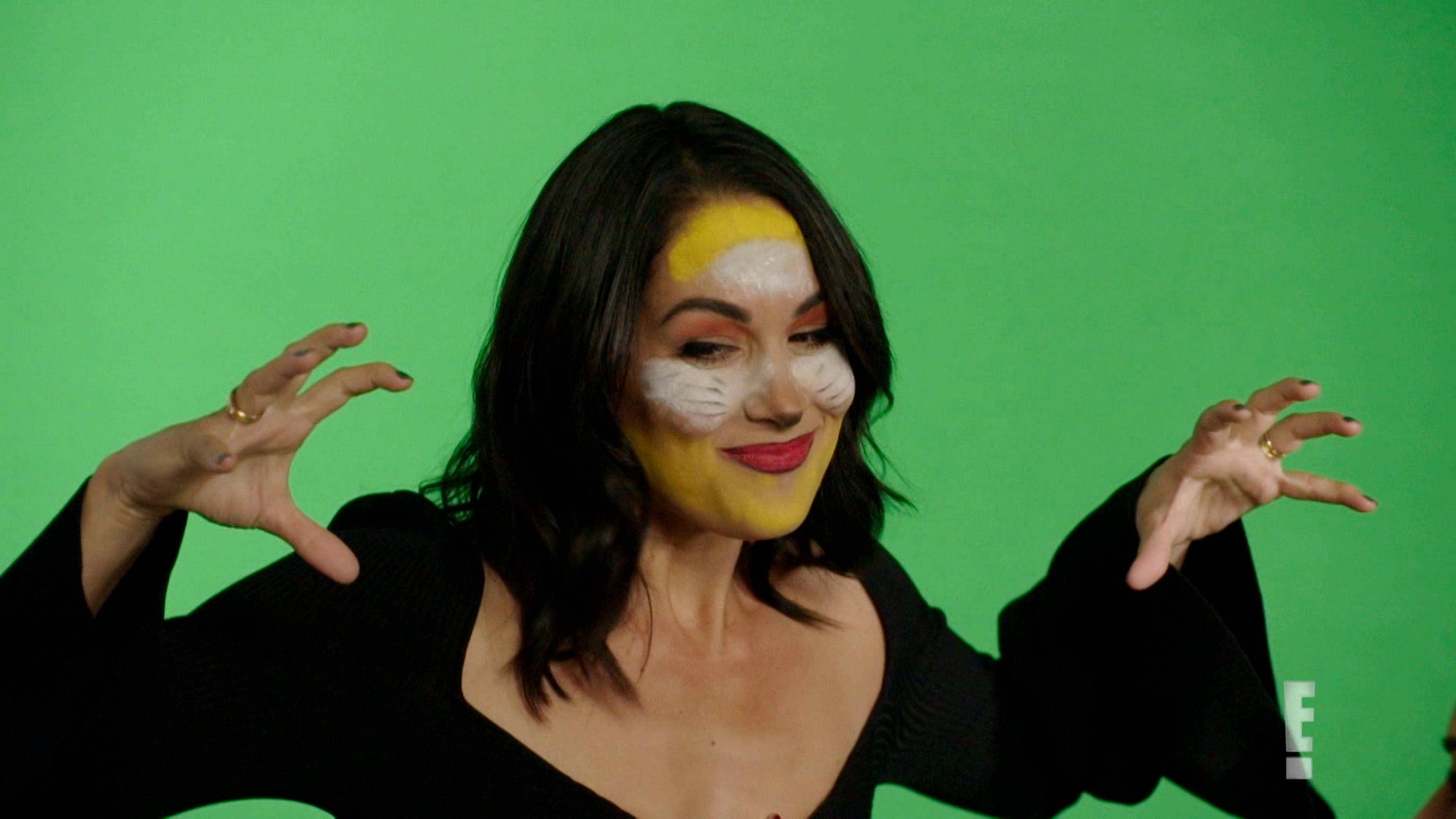 The Bella Twins Brie Bella V. Nikki Bella