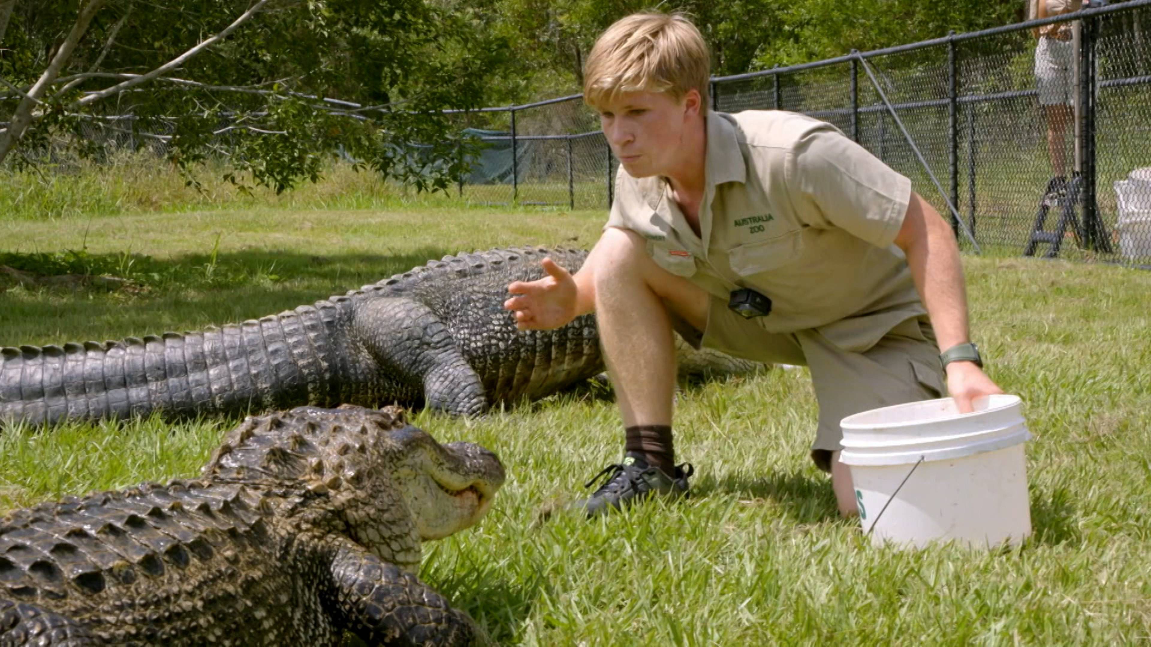 Robert's Great Gator Challenge